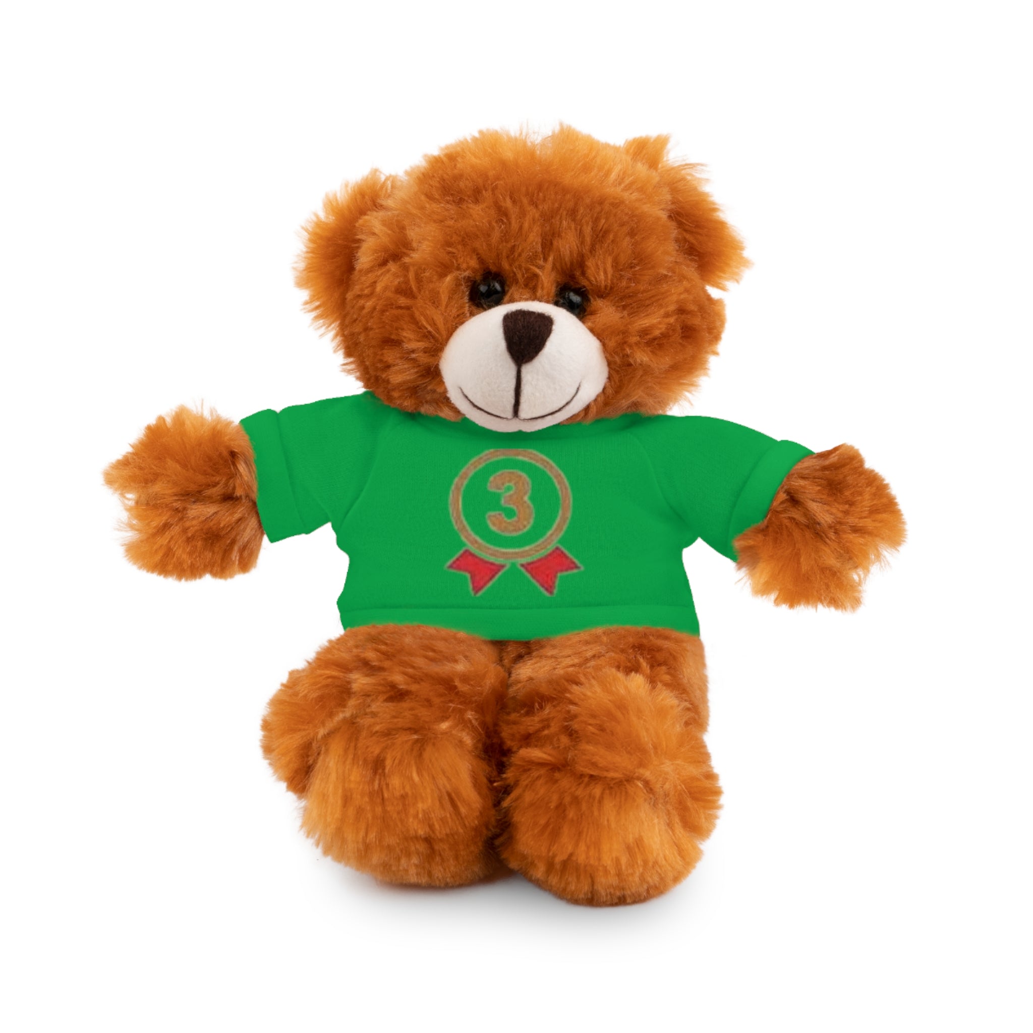 3rd Place Gymnastics Stuffed Animal with Gymnastics T-Shirt