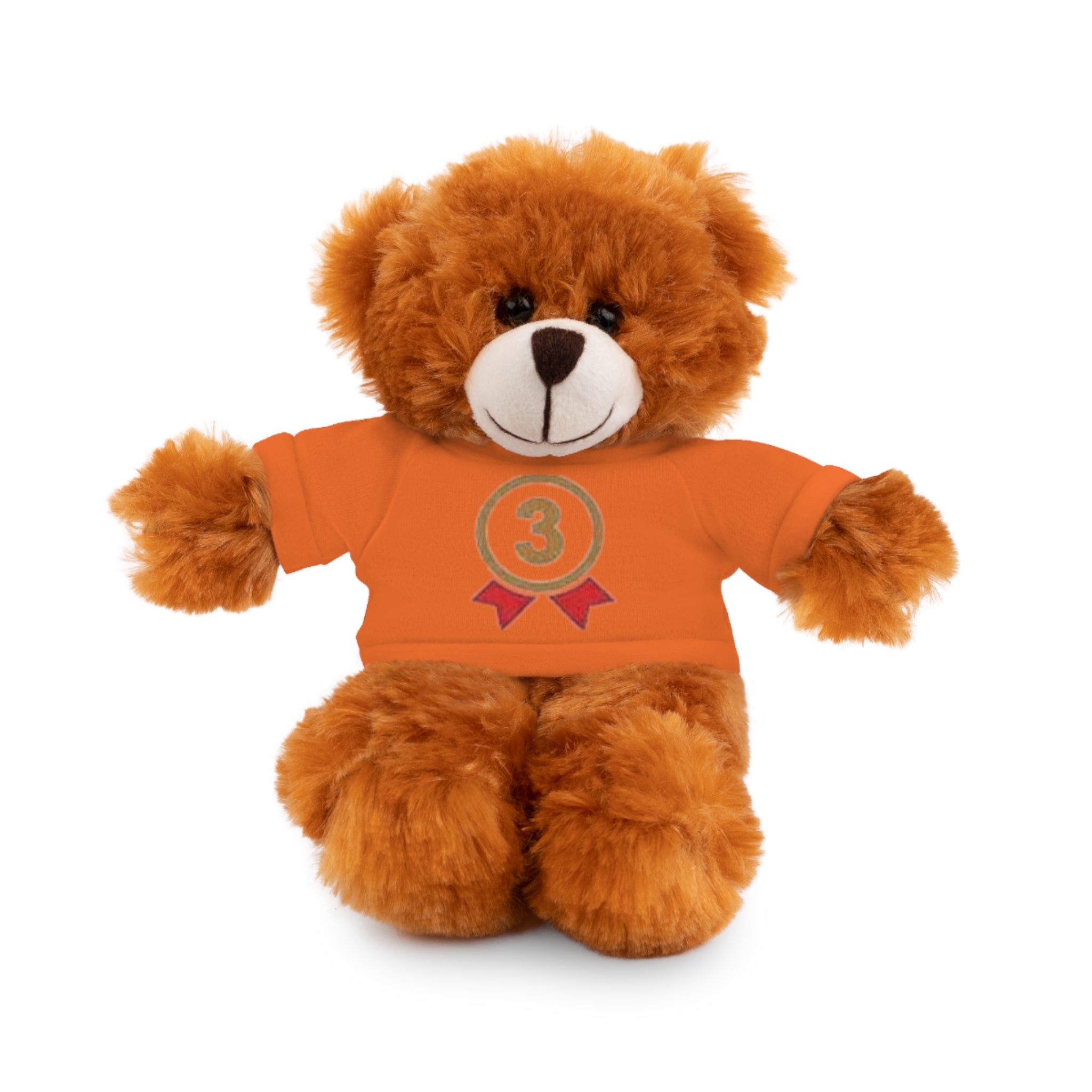 3rd Place Gymnastics Stuffed Animal with Gymnastics T-Shirt