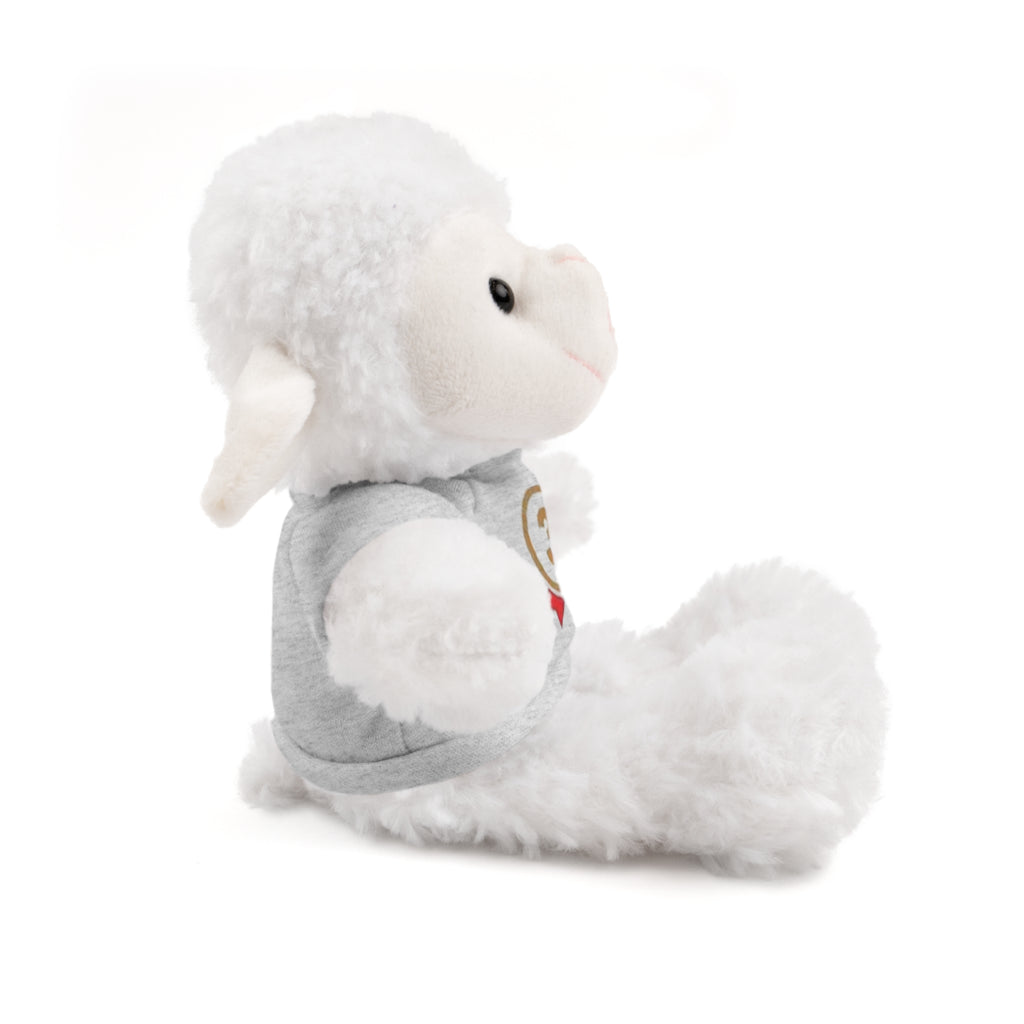 3rd Place Gymnastics Stuffed Animal with Gymnastics T-Shirt