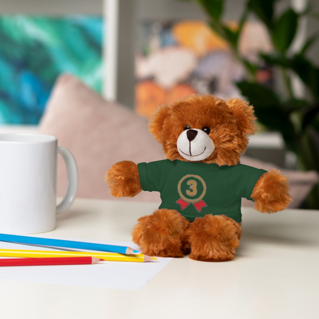 3rd Place Gymnastics Stuffed Animal with Gymnastics T-Shirt