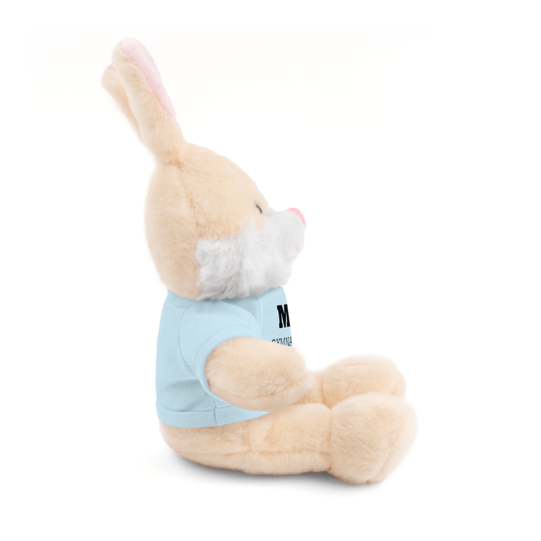 Gymnastics Teddy Bear with Personalized Tee