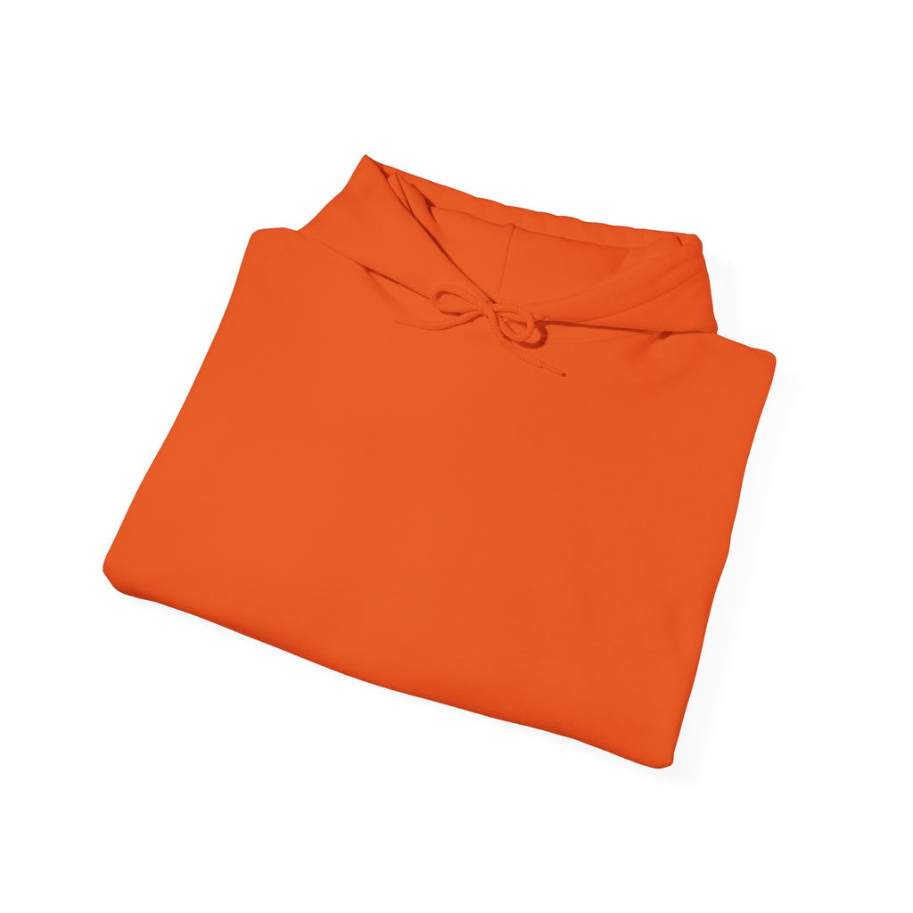Coach Hoodie — Gymnastics Coach Pullover (Adults)