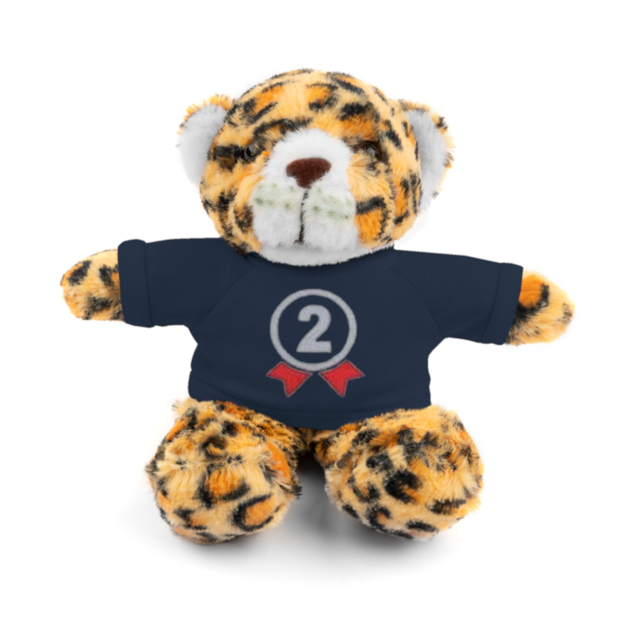 2nd Place Gymnastics Stuffed Animal with Gymnastics T-Shirt