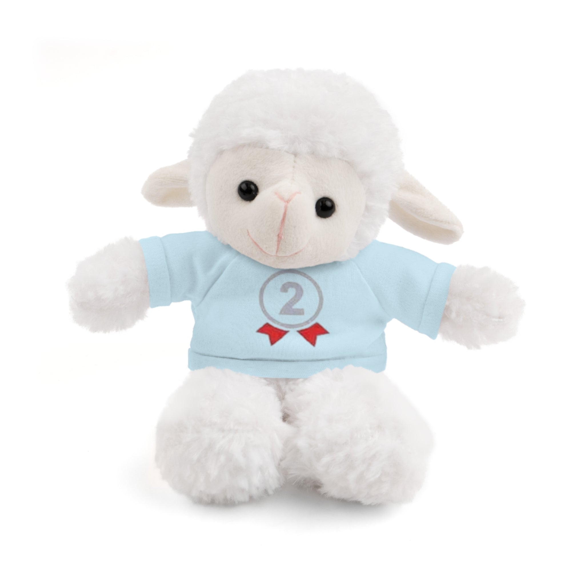 2nd Place Gymnastics Stuffed Animal with Gymnastics T-Shirt
