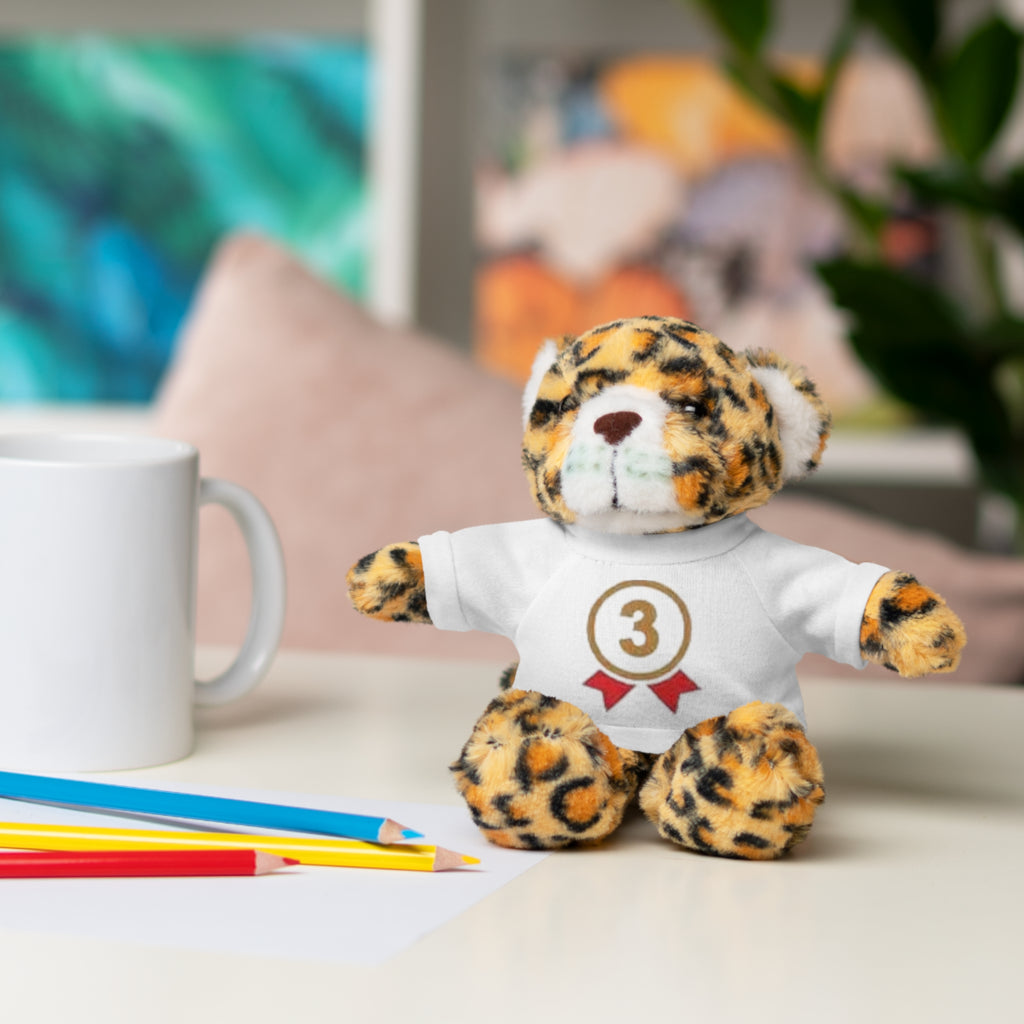 3rd Place Gymnastics Stuffed Animal with Gymnastics T-Shirt