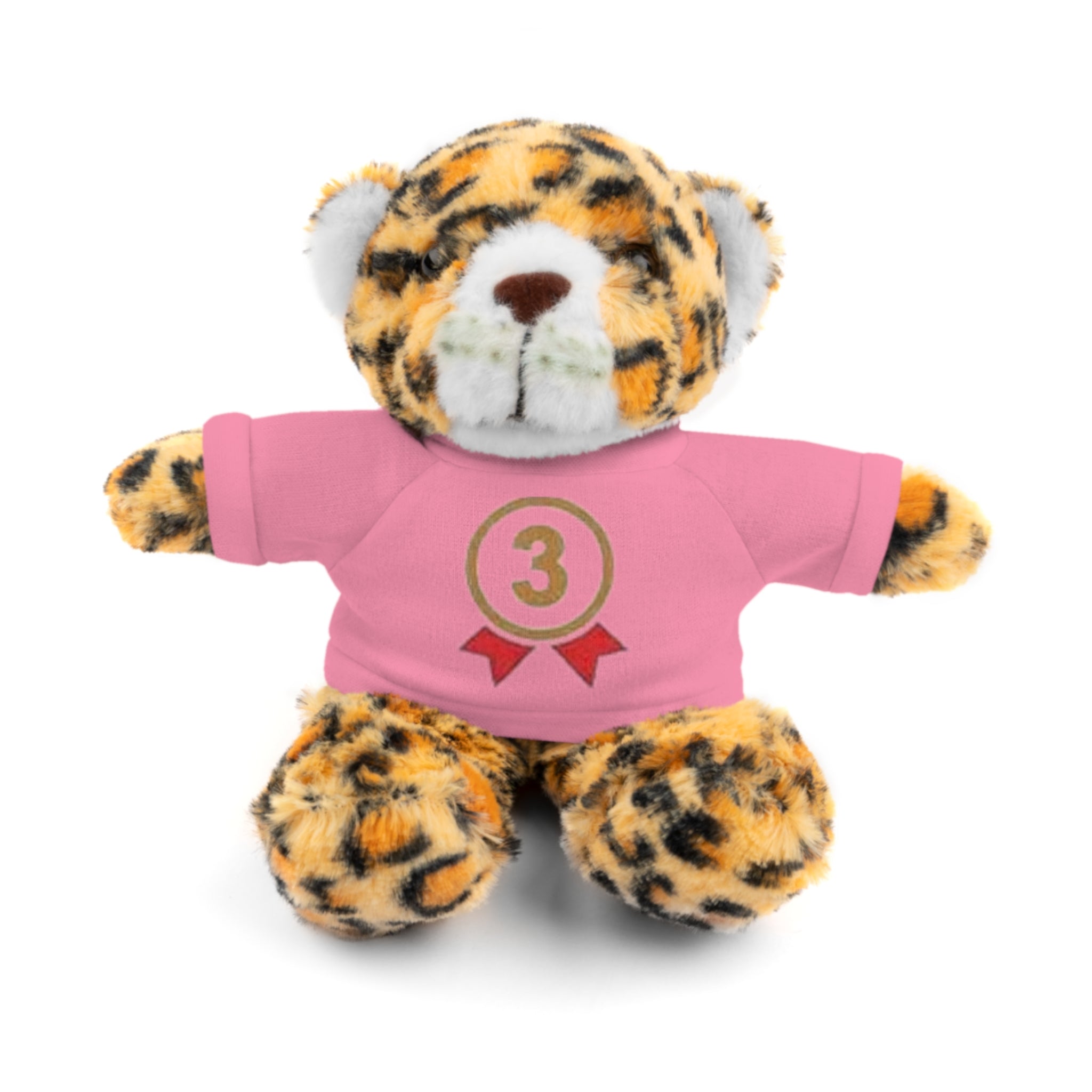 3rd Place Gymnastics Stuffed Animal with Gymnastics T-Shirt