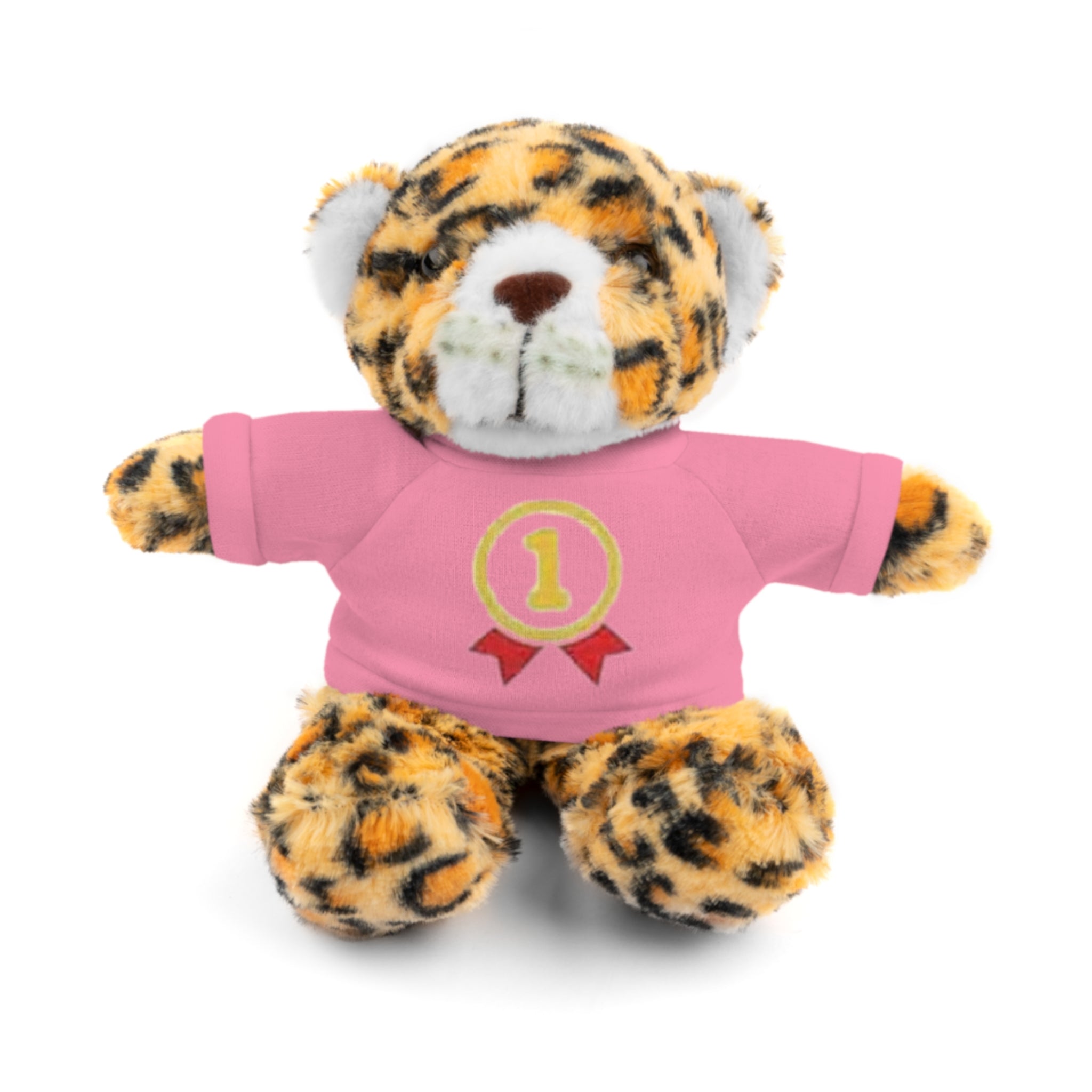 1st Place Gymnastics Stuffed Animal with Gymnastics T-Shirt