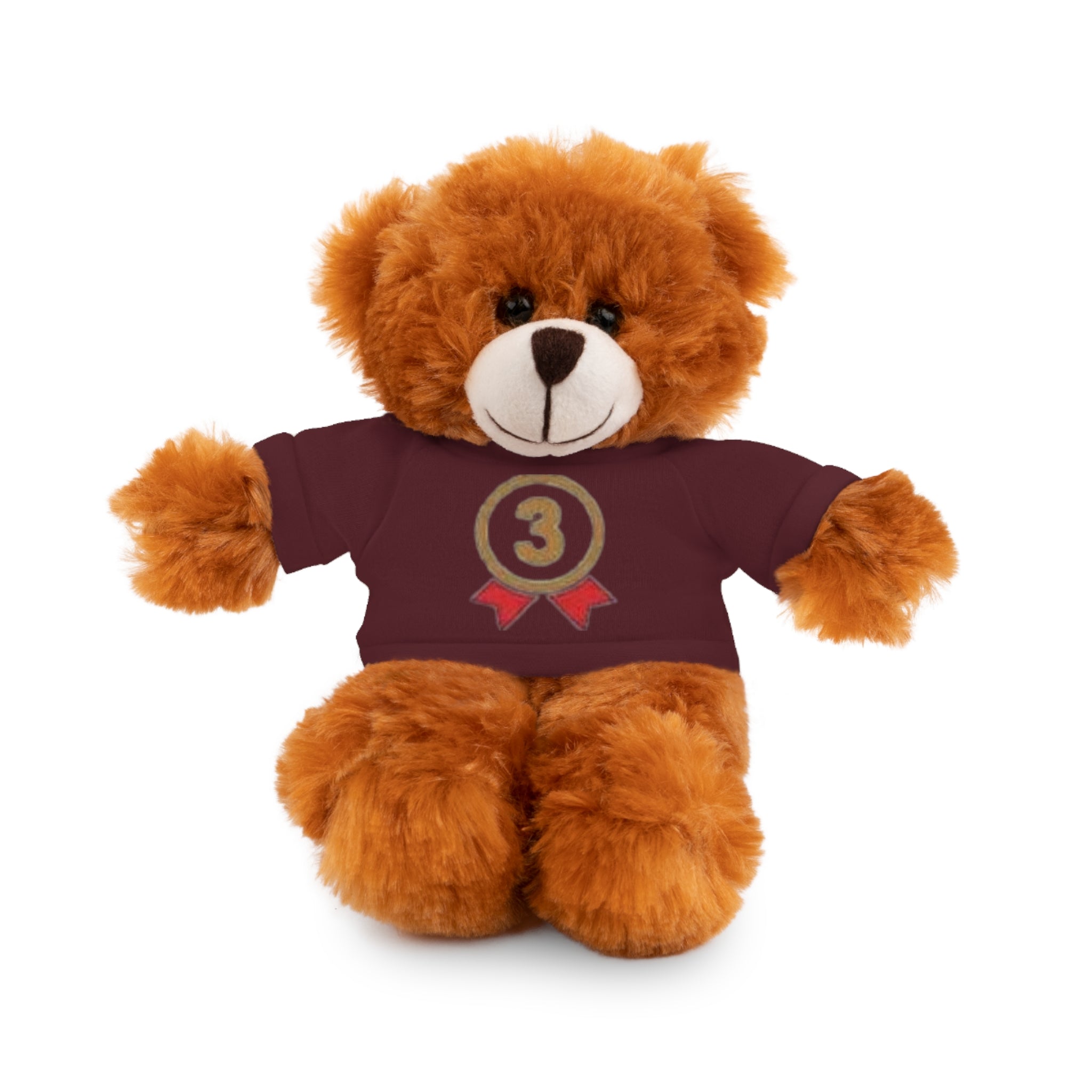 3rd Place Gymnastics Stuffed Animal with Gymnastics T-Shirt