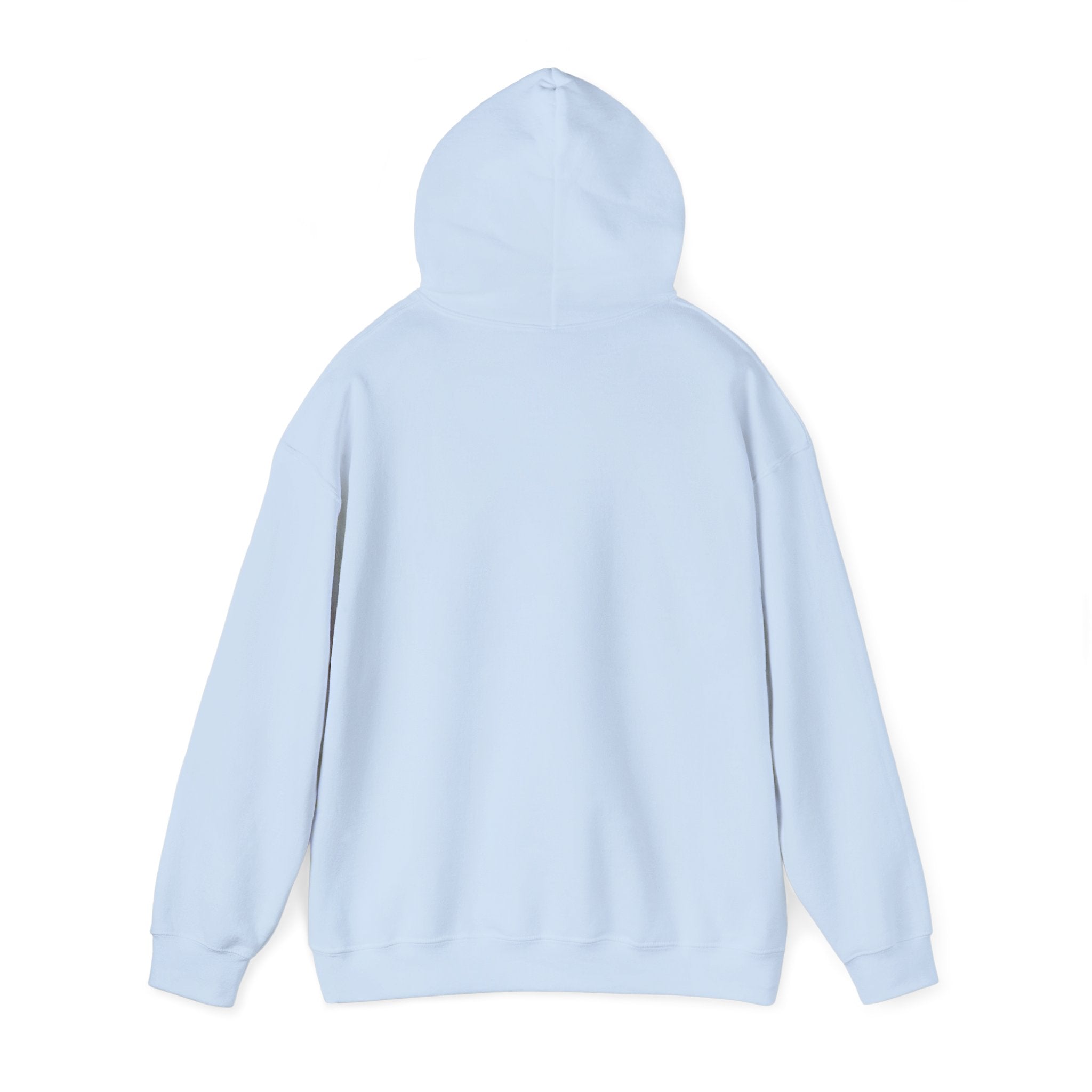 Behind every strong gymnast is a coach who believed first - Gymnast Coach Hoodie (Adults)