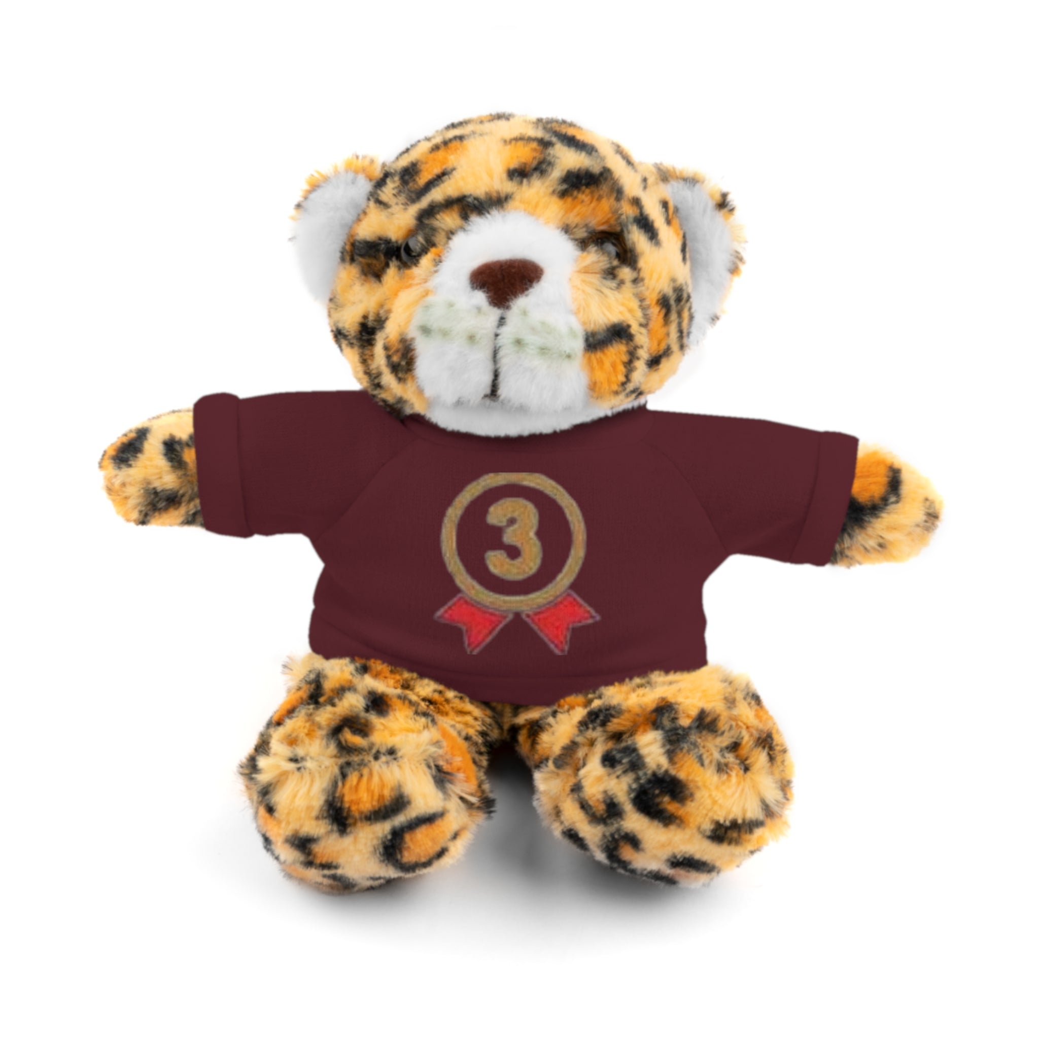 3rd Place Gymnastics Stuffed Animal with Gymnastics T-Shirt