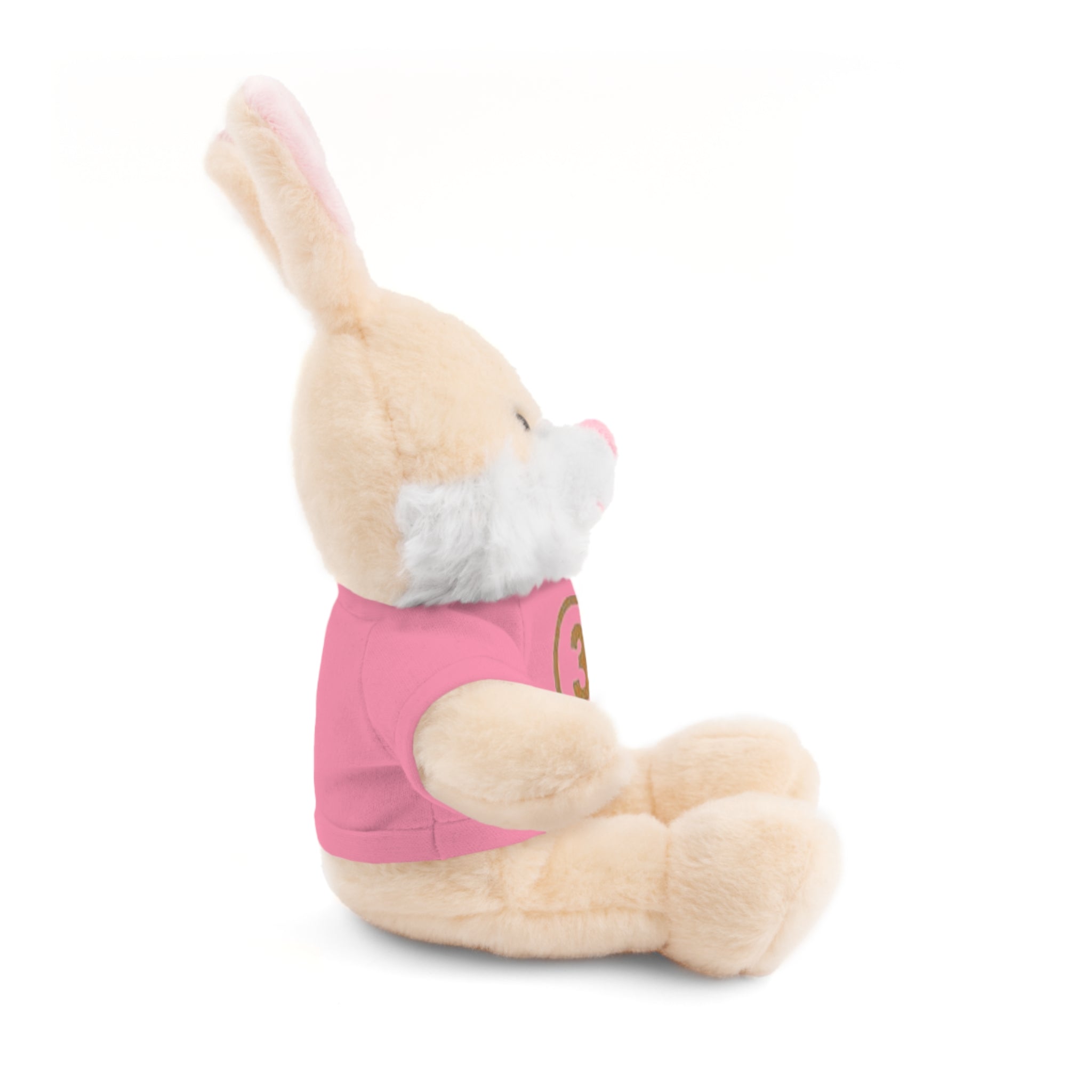 3rd Place Gymnastics Stuffed Animal with Gymnastics T-Shirt
