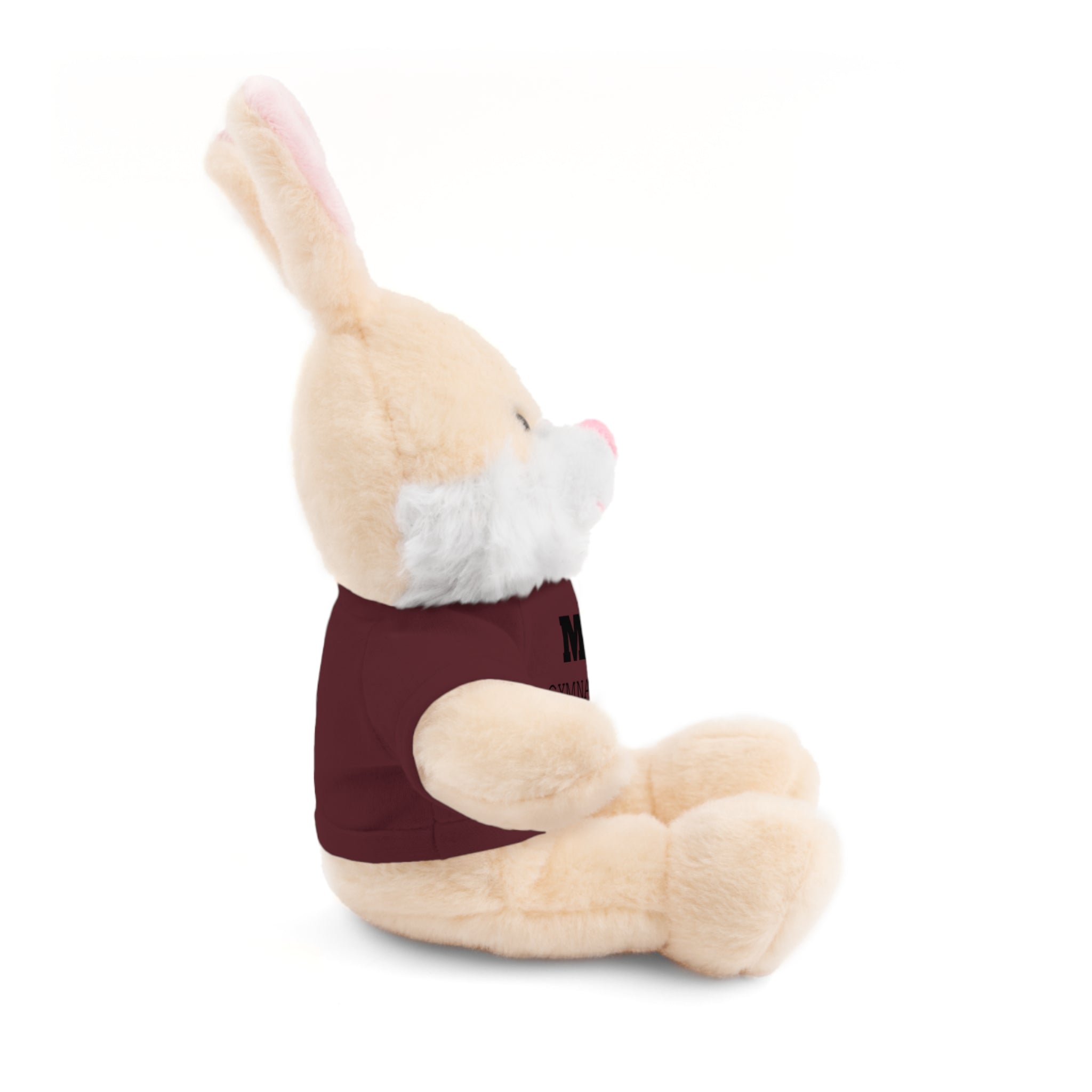 Gymnastics Teddy Bear with Personalized Tee