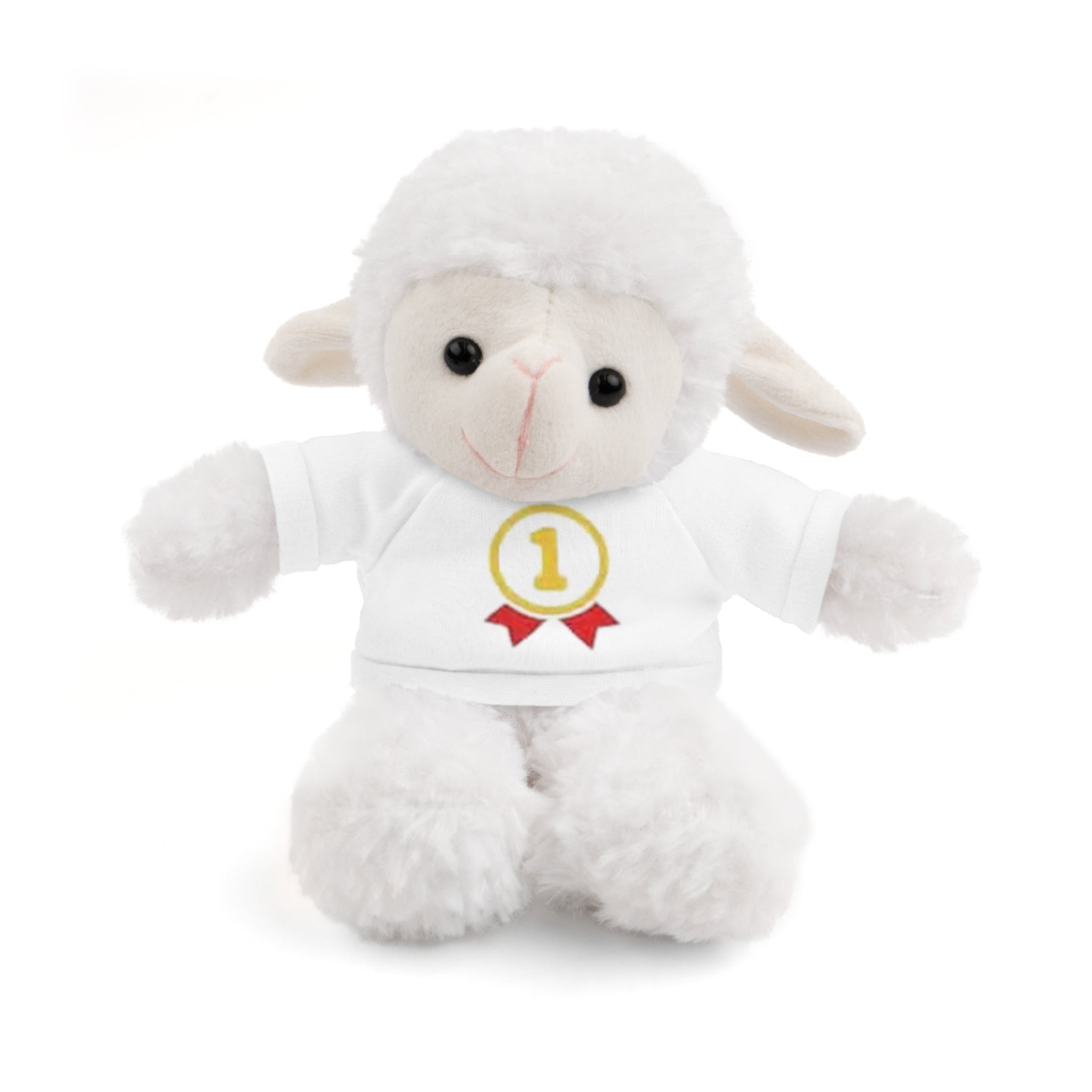 1st Place Gymnastics Stuffed Animal with Gymnastics T-Shirt