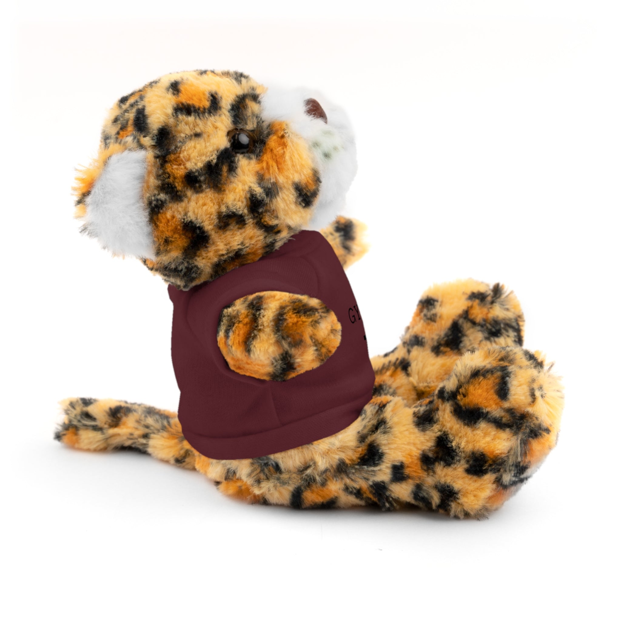 Gymnastics Teddy Bear with Personalized Tee