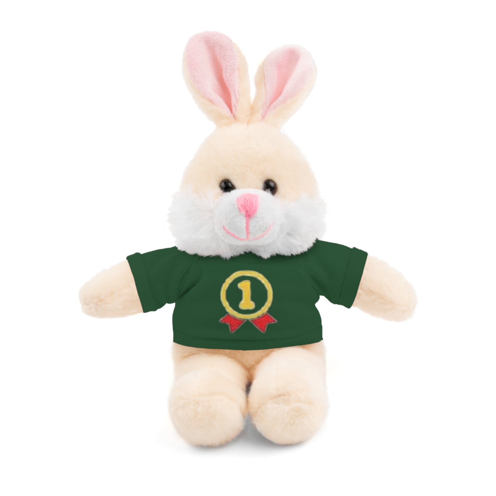 1st Place Gymnastics Stuffed Animal with Gymnastics T-Shirt