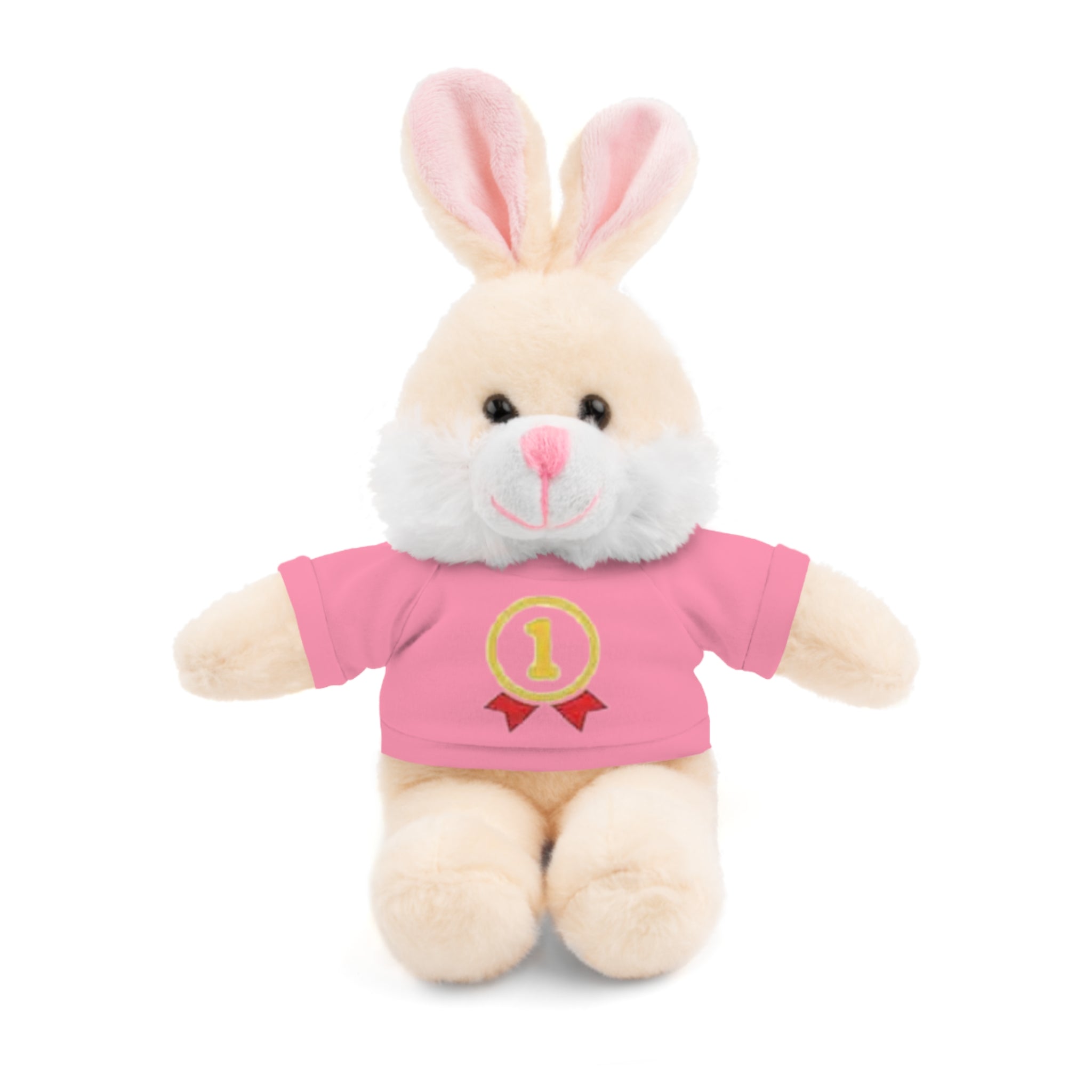 1st Place Gymnastics Stuffed Animal with Gymnastics T-Shirt