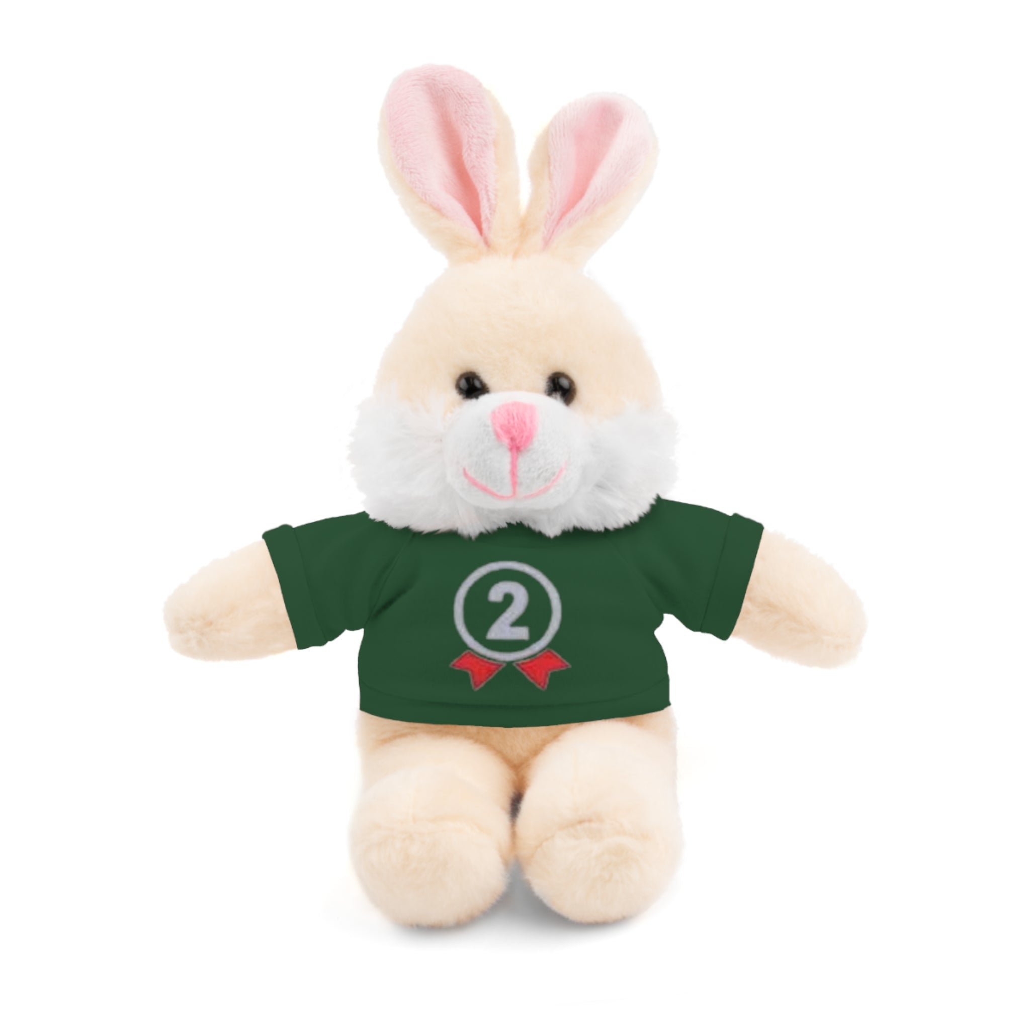 2nd Place Gymnastics Stuffed Animal with Gymnastics T-Shirt