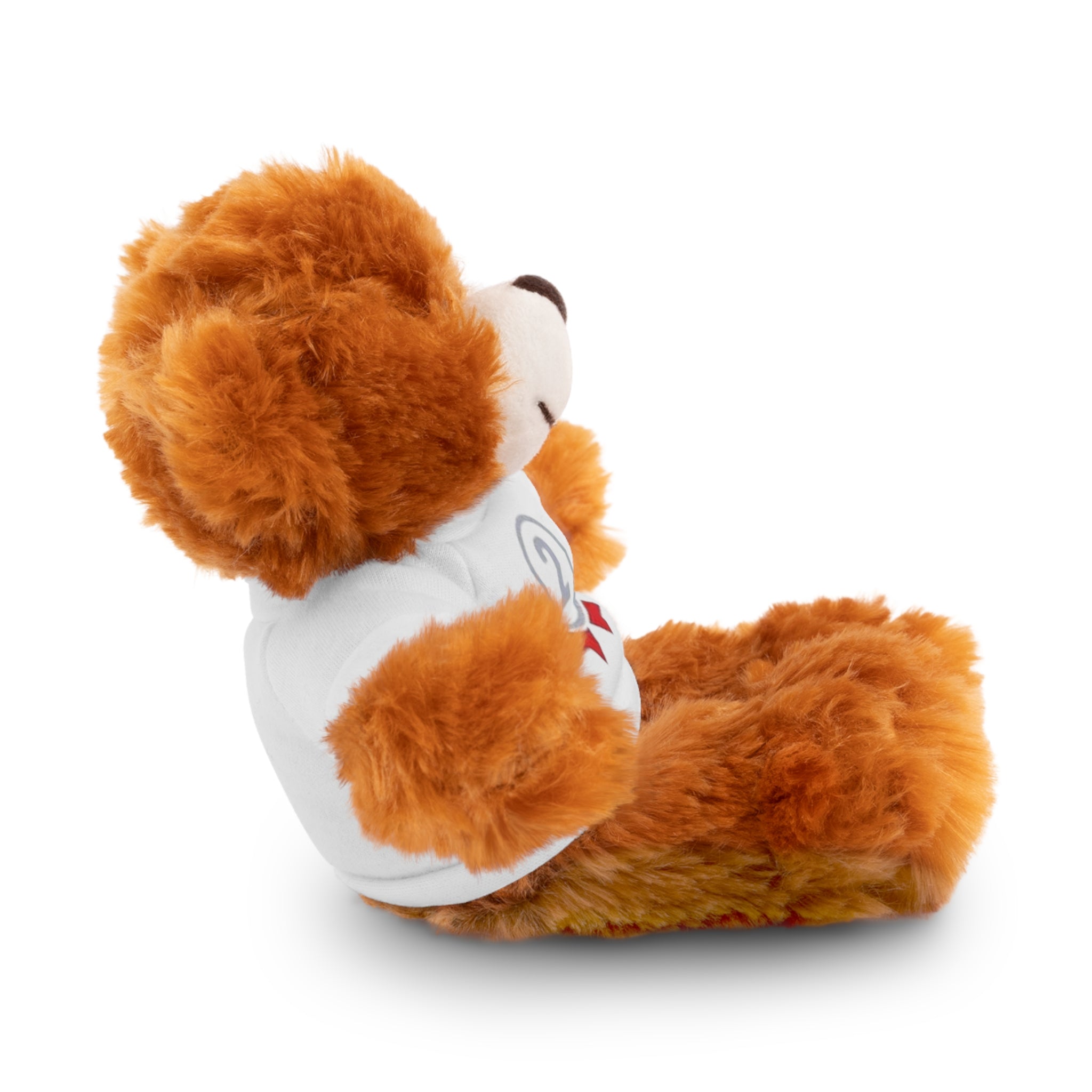 2nd Place Gymnastics Stuffed Animal with Gymnastics T-Shirt