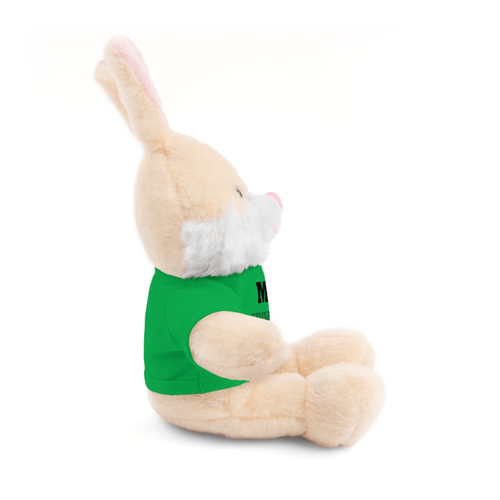 Gymnastics Teddy Bear with Personalized Tee