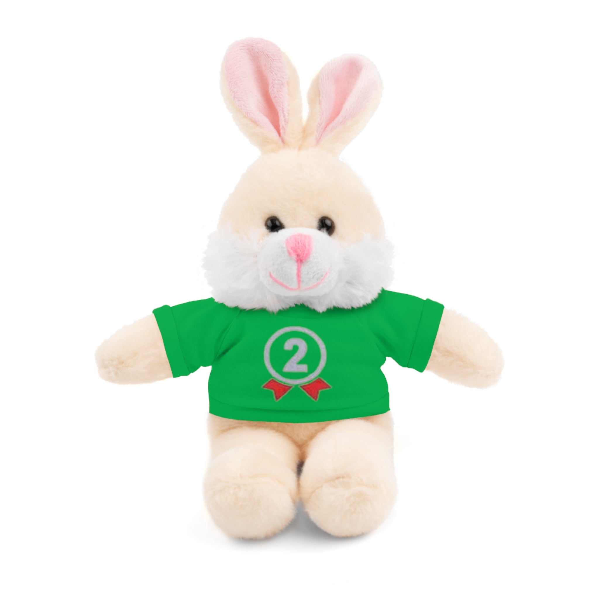 2nd Place Gymnastics Stuffed Animal with Gymnastics T-Shirt