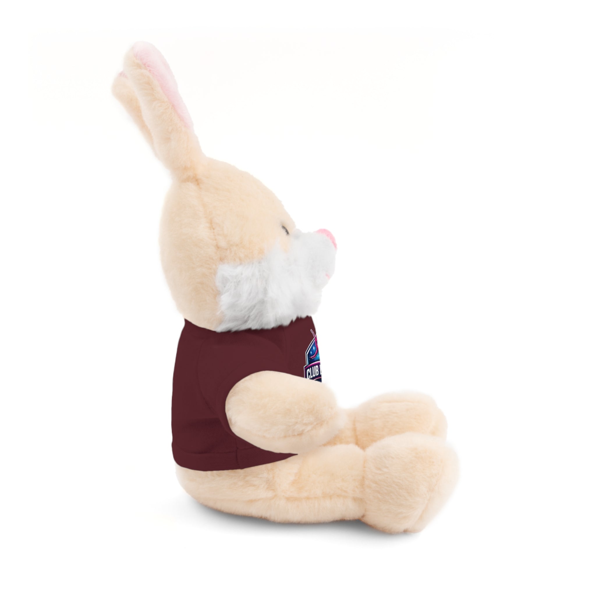 Custom Logo Teddy Bear with Personalized Tee — Plush Gift for Events