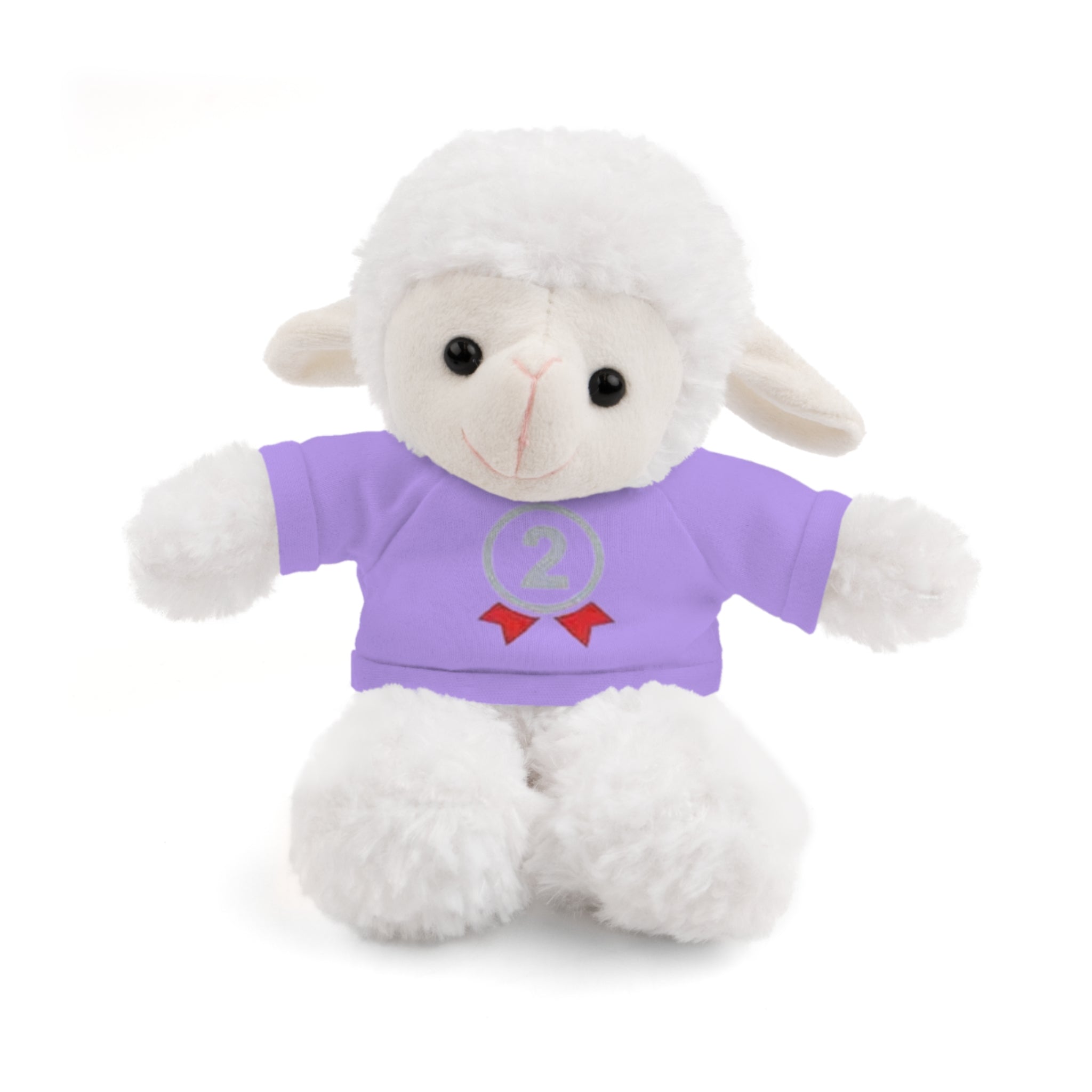 2nd Place Gymnastics Stuffed Animal with Gymnastics T-Shirt