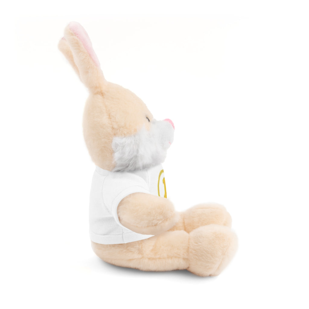 1st Place Gymnastics Stuffed Animal with Gymnastics T-Shirt