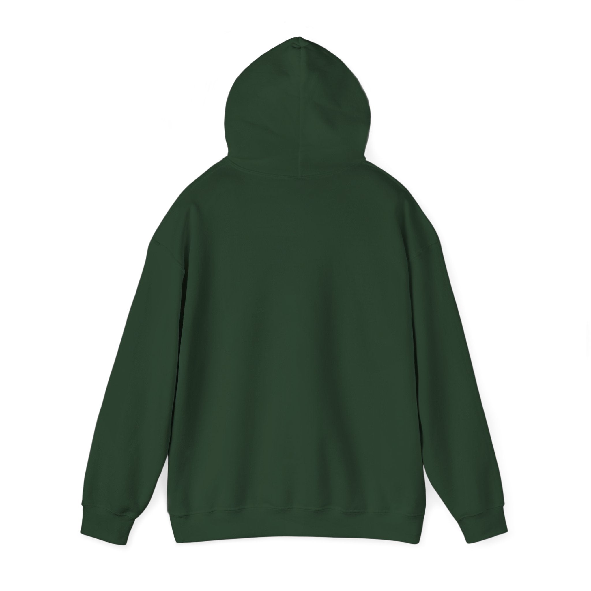 Behind every strong gymnast is a coach who believed first - Gymnast Coach Hoodie (Adults)