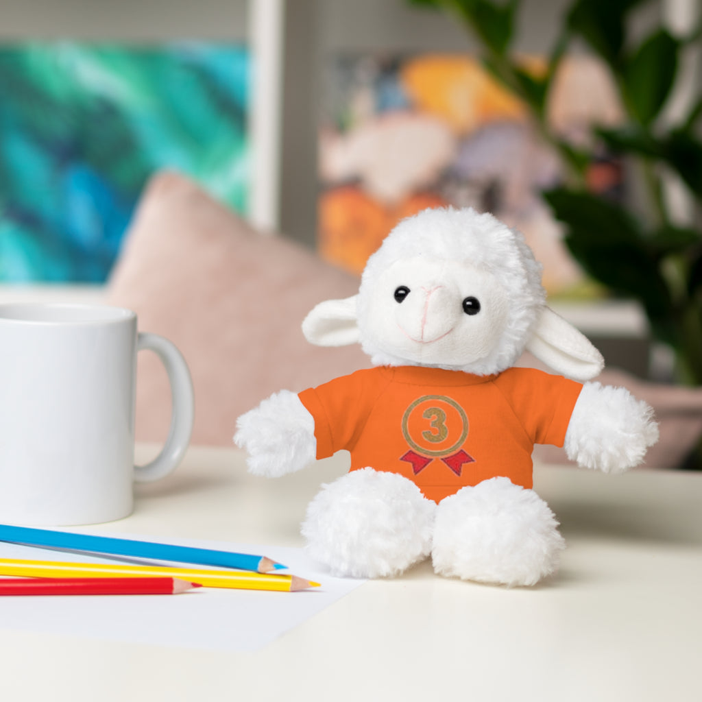 3rd Place Gymnastics Stuffed Animal with Gymnastics T-Shirt