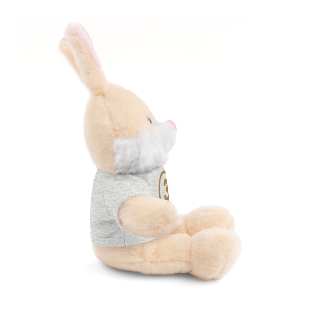 3rd Place Gymnastics Stuffed Animal with Gymnastics T-Shirt