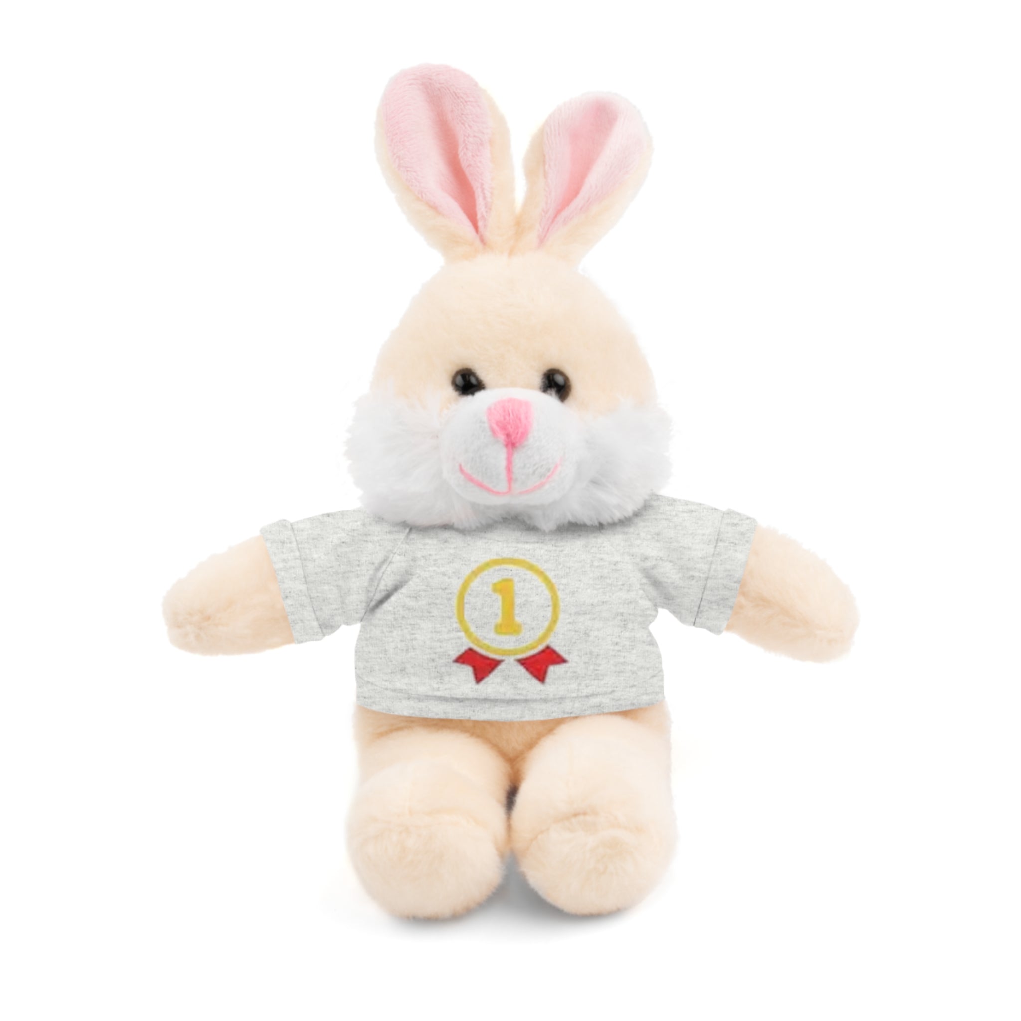 1st Place Gymnastics Stuffed Animal with Gymnastics T-Shirt