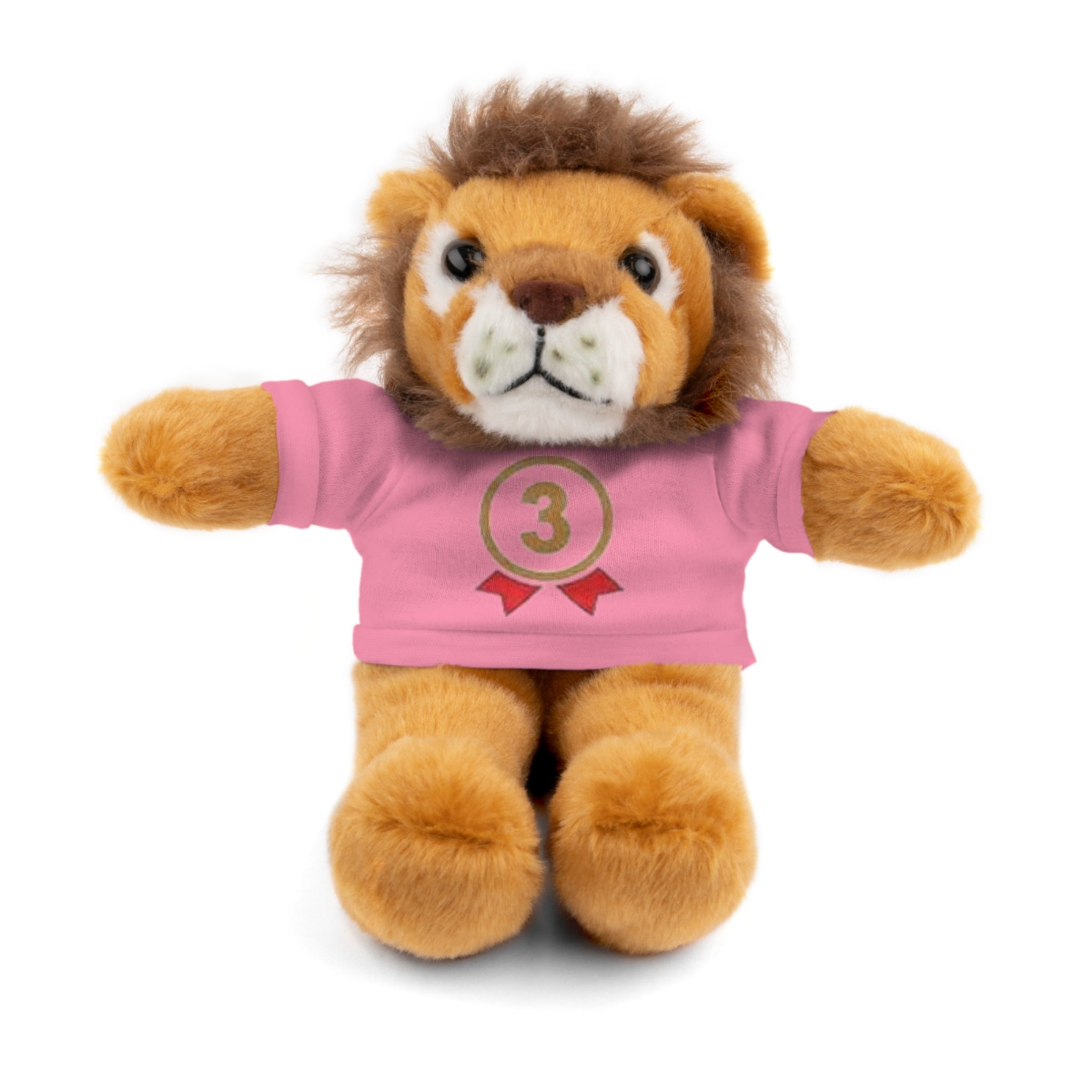 3rd Place Gymnastics Stuffed Animal with Gymnastics T-Shirt