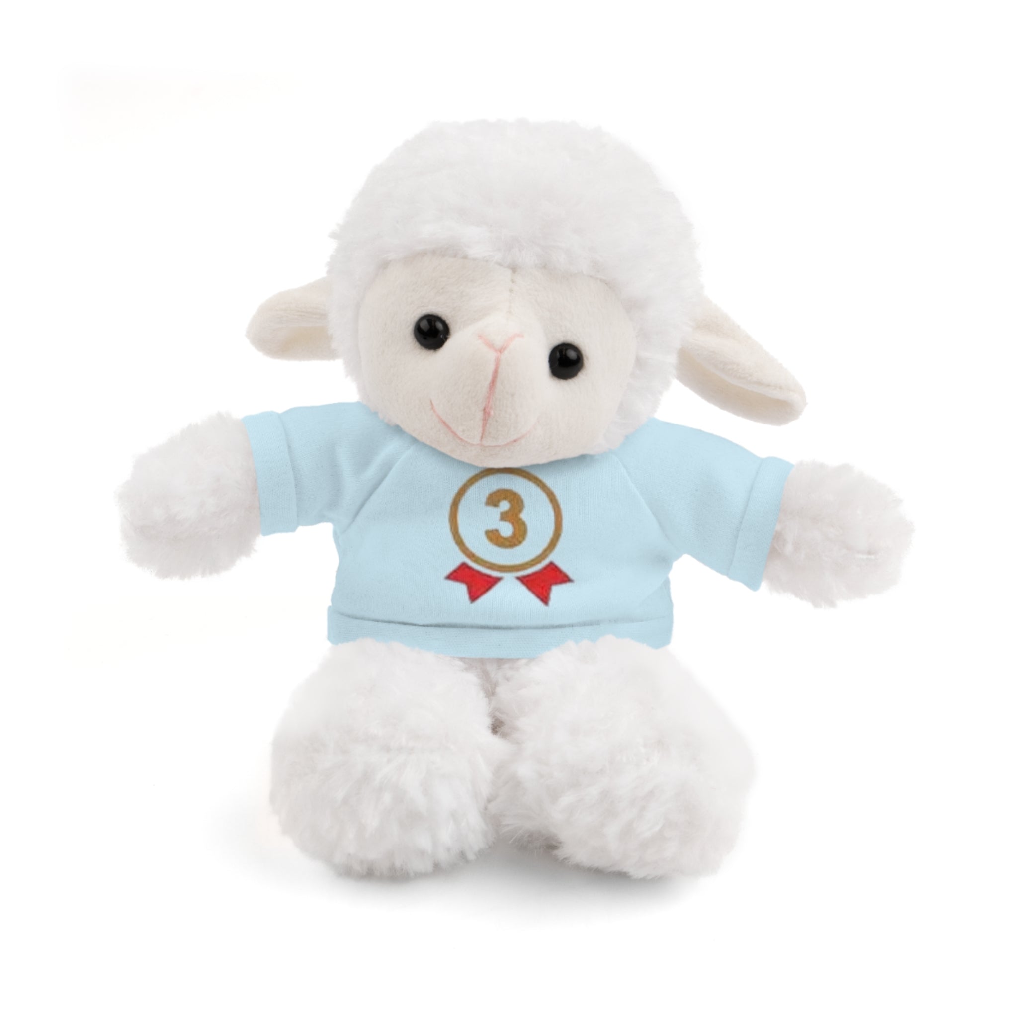 3rd Place Gymnastics Stuffed Animal with Gymnastics T-Shirt