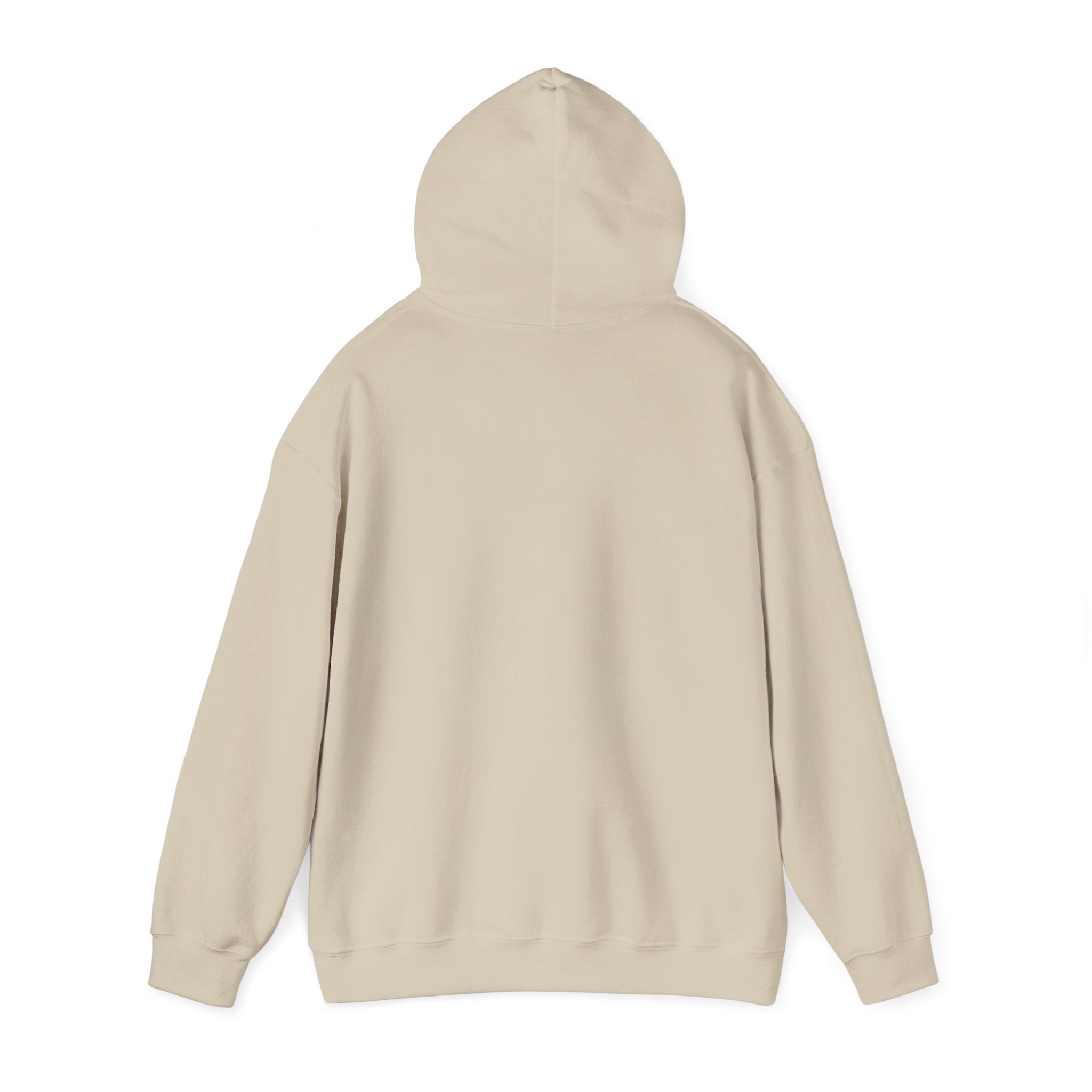 Behind every strong gymnast is a coach who believed first - Gymnast Coach Hoodie (Adults)