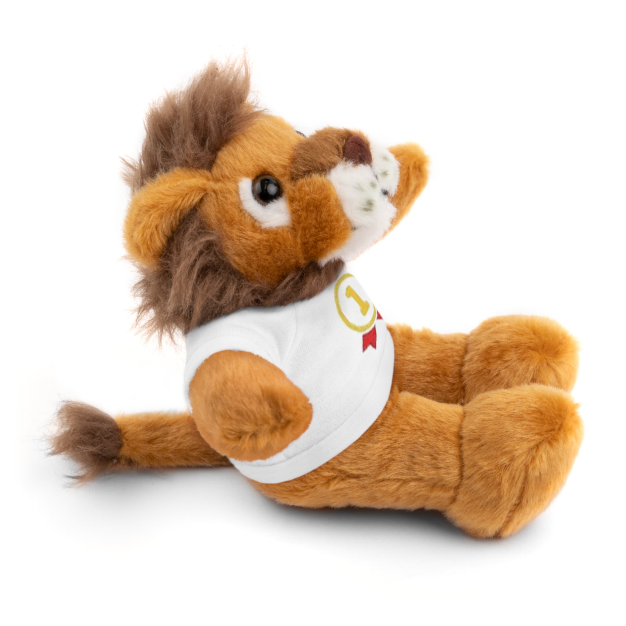 1st Place Gymnastics Stuffed Animal with Gymnastics T-Shirt