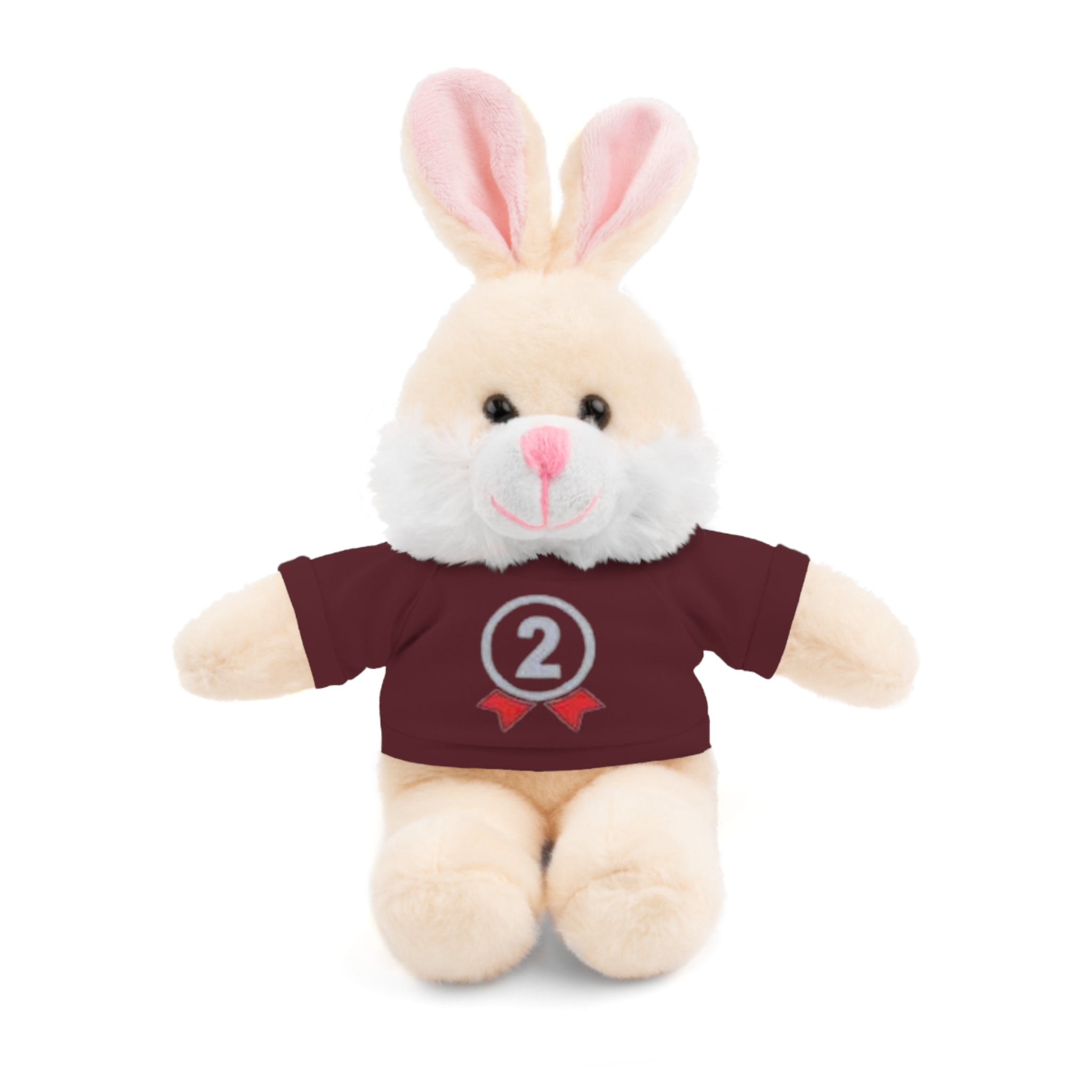 2nd Place Gymnastics Stuffed Animal with Gymnastics T-Shirt