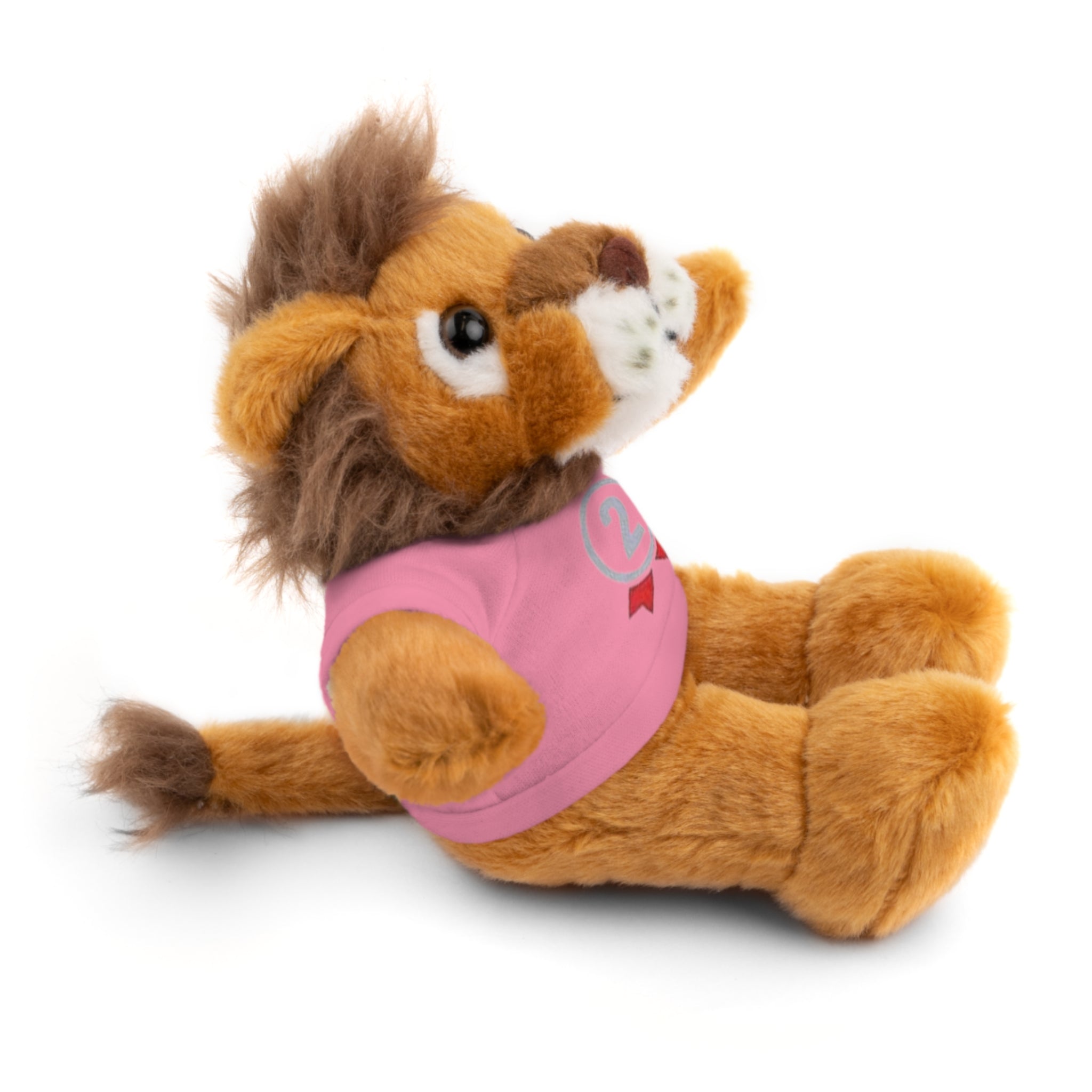 2nd Place Gymnastics Stuffed Animal with Gymnastics T-Shirt