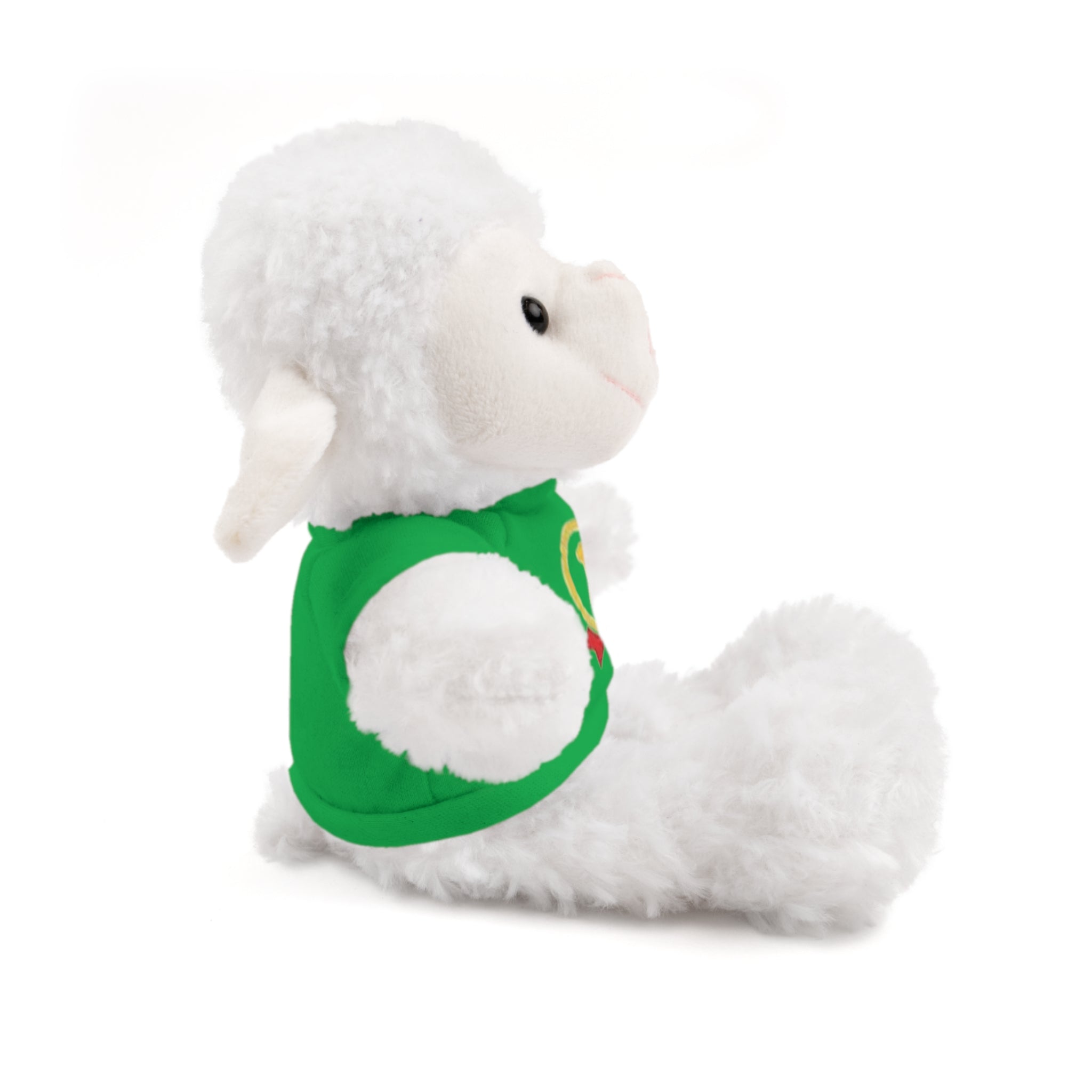 1st Place Gymnastics Stuffed Animal with Gymnastics T-Shirt