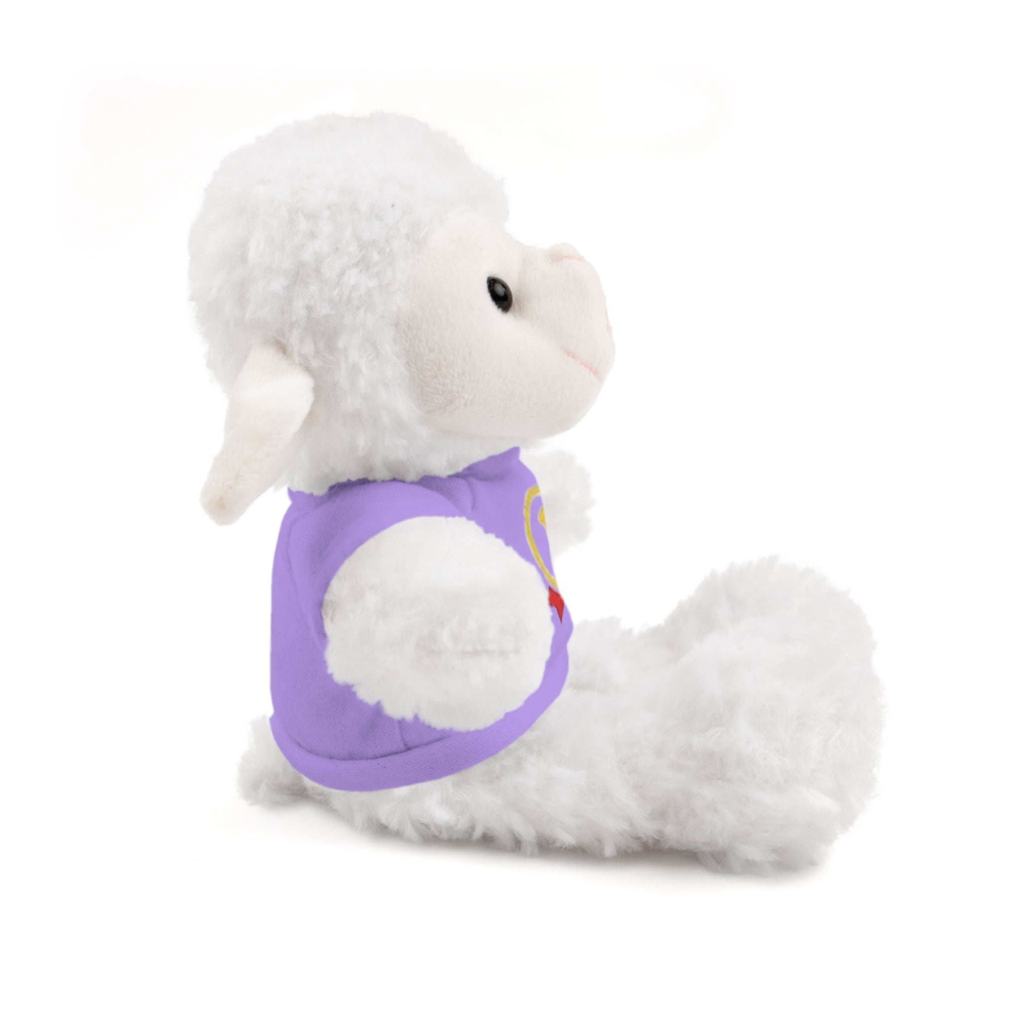 1st Place Gymnastics Stuffed Animal with Gymnastics T-Shirt