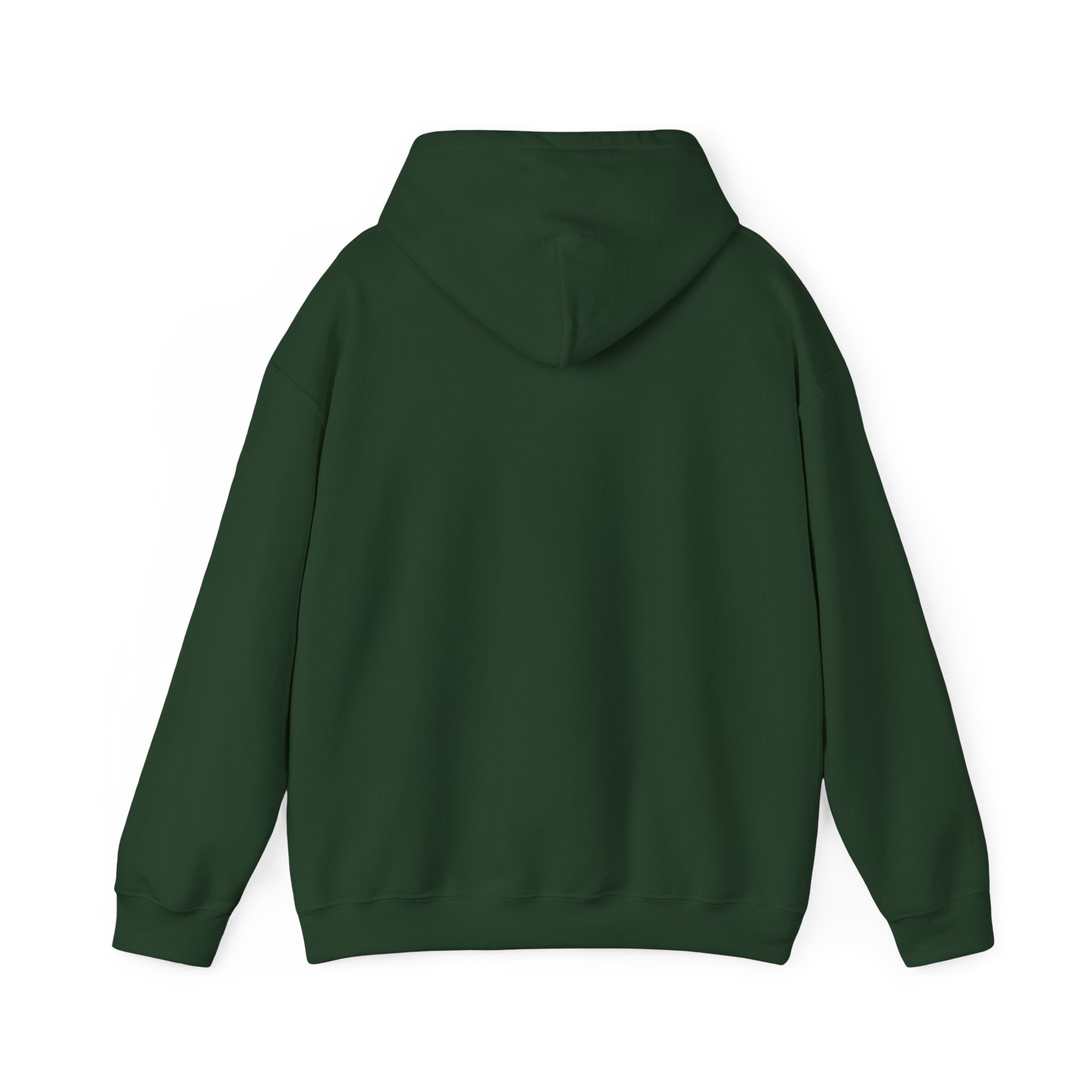 Behind every strong gymnast is a coach who believed first - Gymnast Coach Hoodie (Adults)