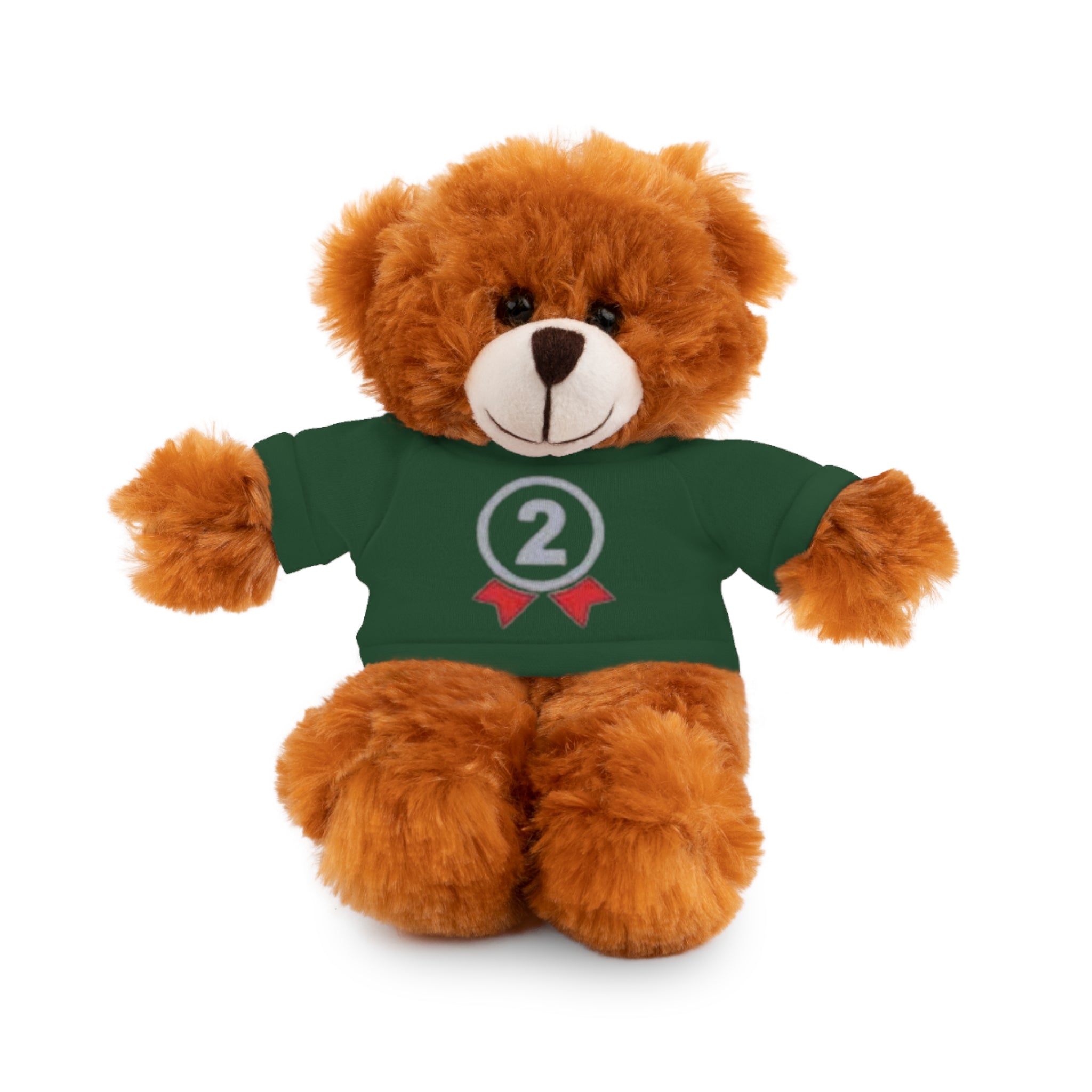 2nd Place Gymnastics Stuffed Animal with Gymnastics T-Shirt