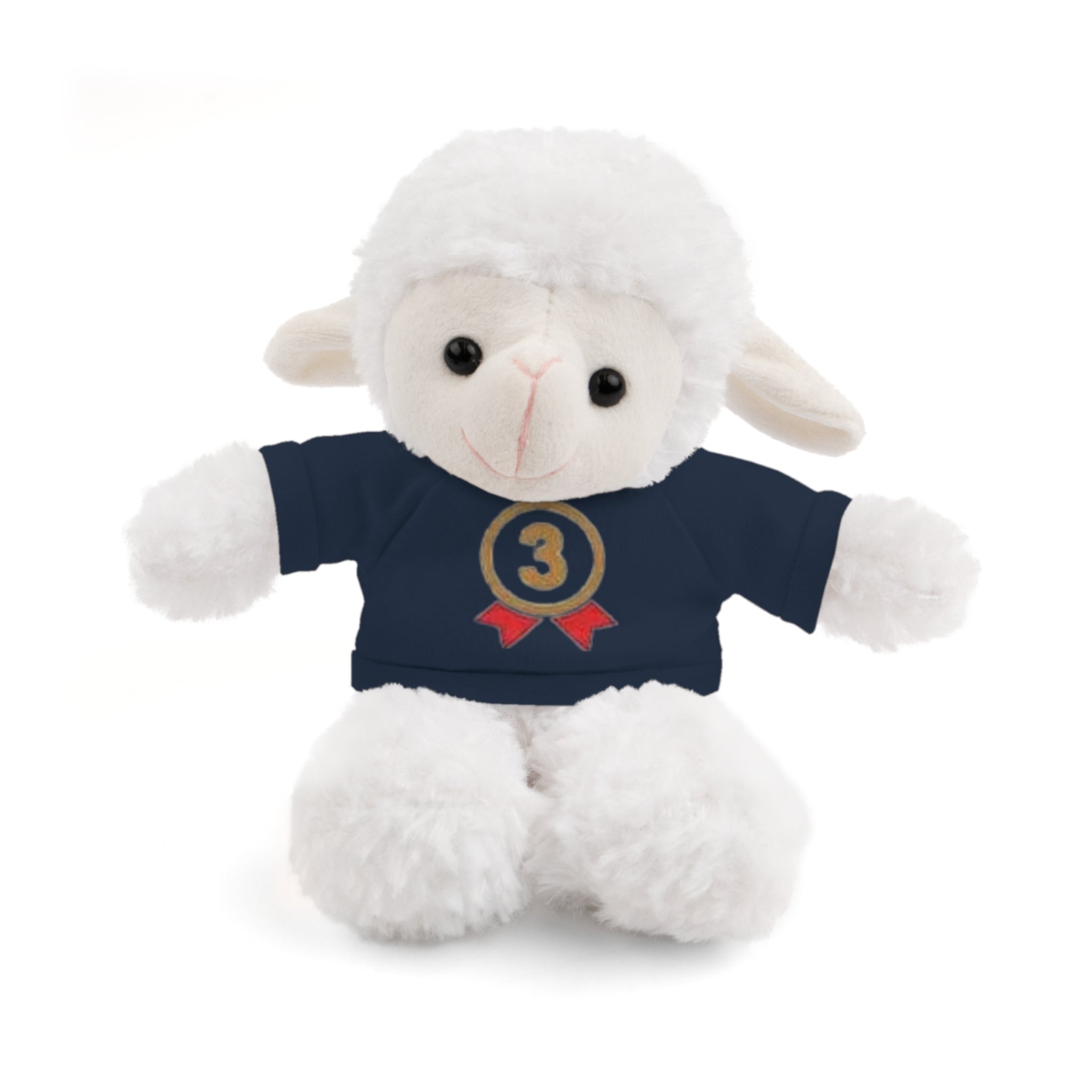 3rd Place Gymnastics Stuffed Animal with Gymnastics T-Shirt