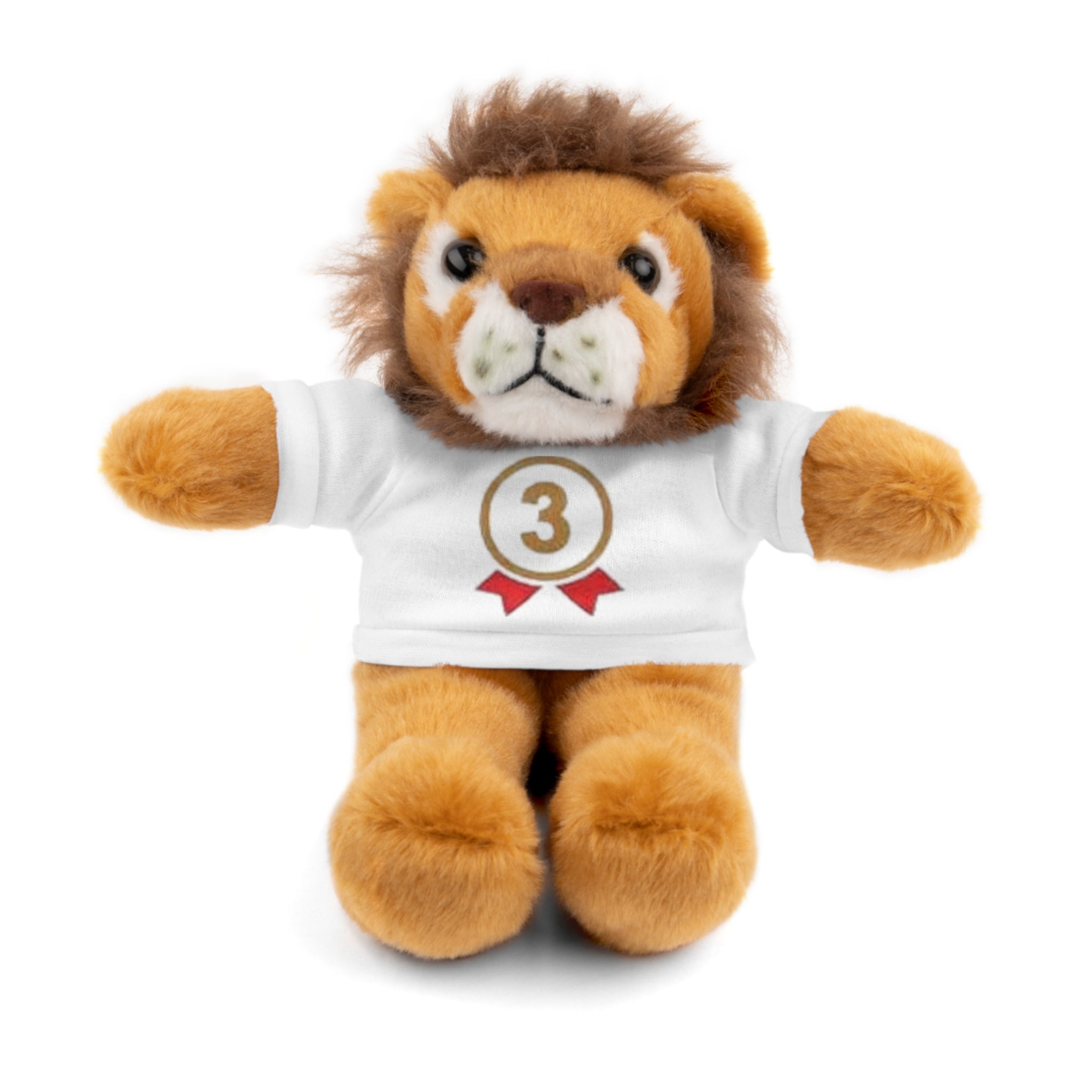 3rd Place Gymnastics Stuffed Animal with Gymnastics T-Shirt