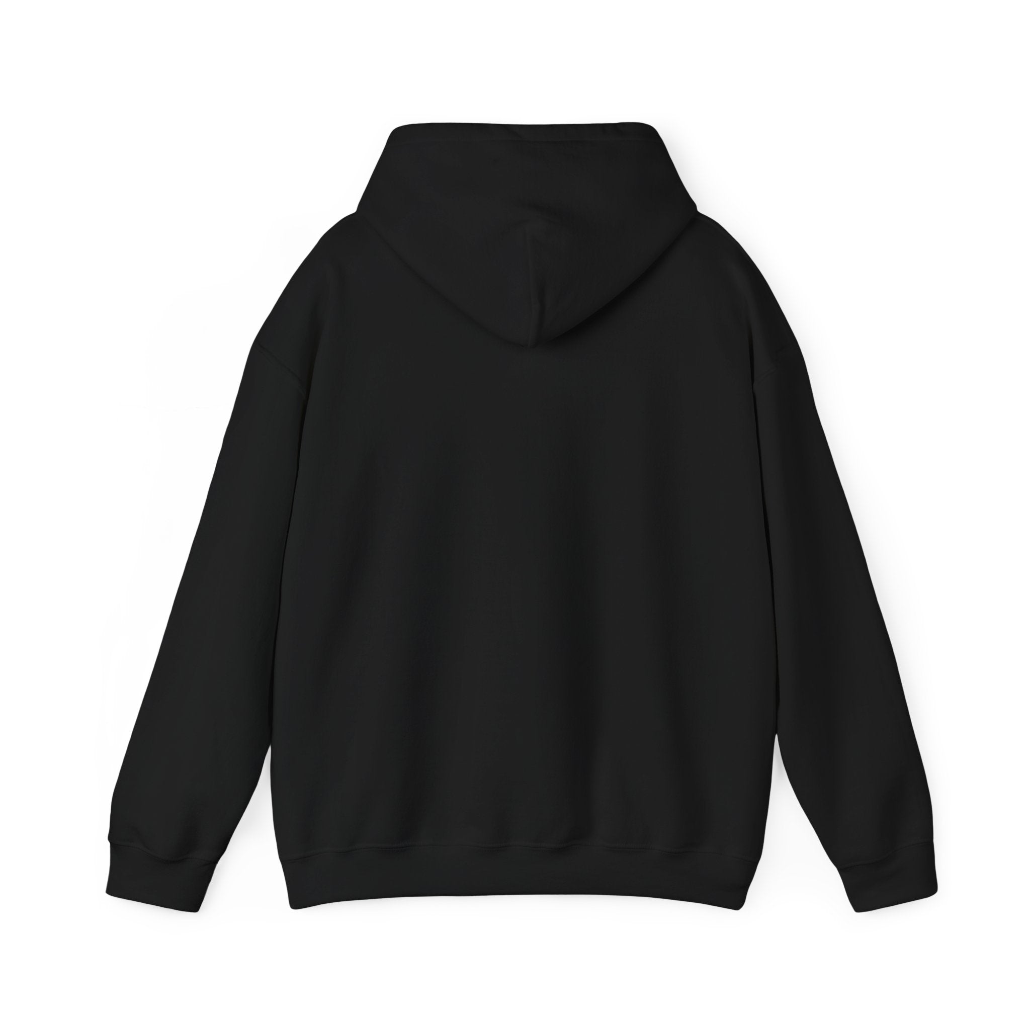 Behind every strong gymnast is a coach who believed first - Gymnast Coach Hoodie (Adults)