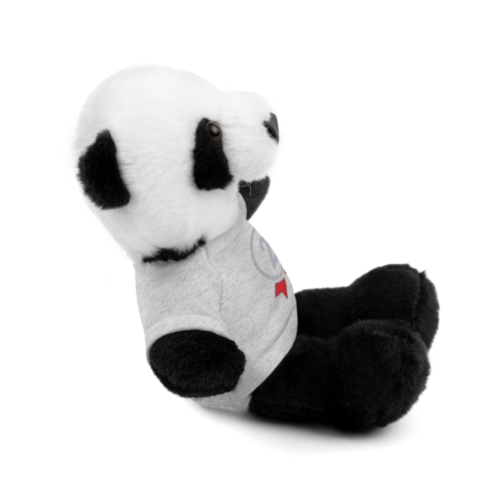 2nd Place Gymnastics Stuffed Animal with Gymnastics T-Shirt