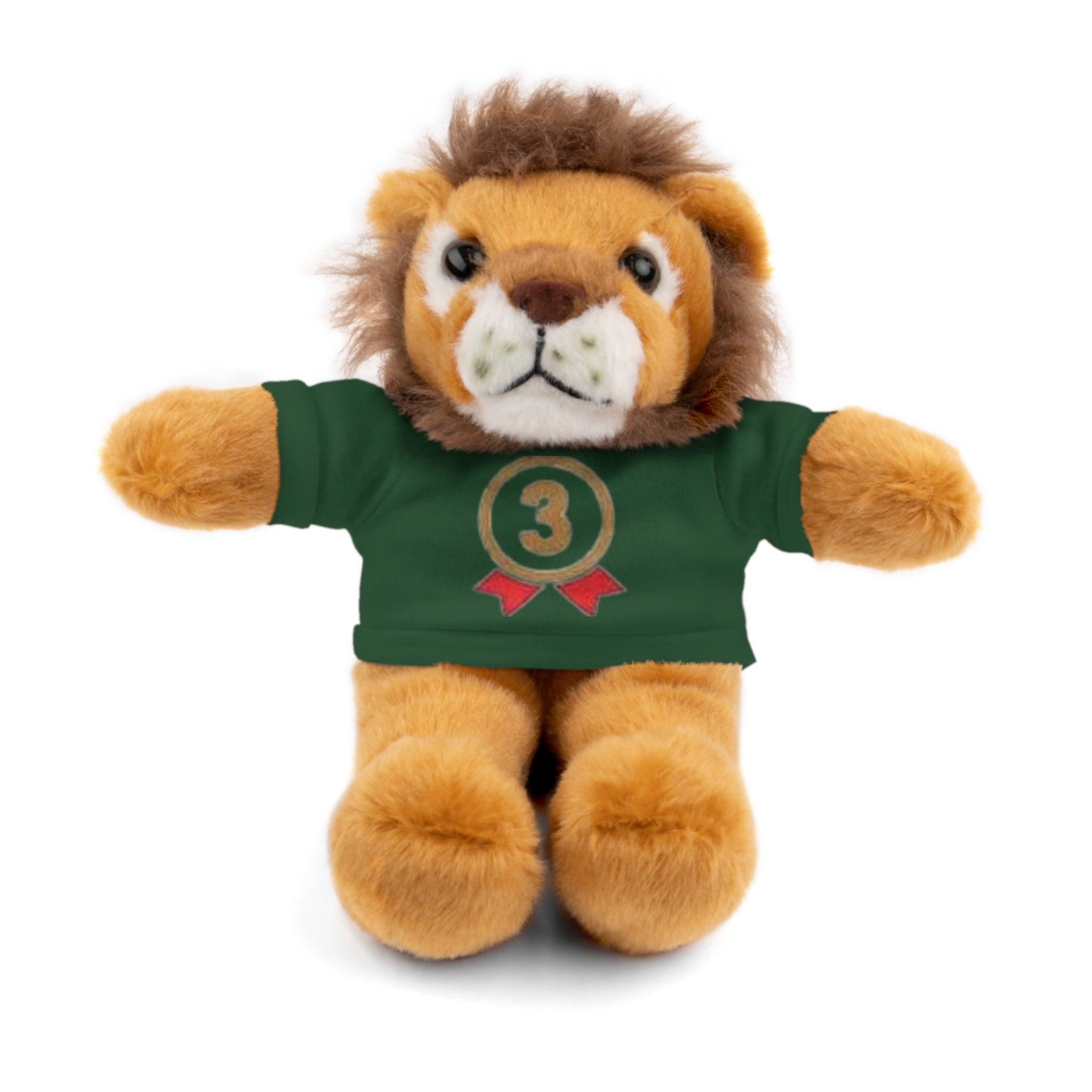 3rd Place Gymnastics Stuffed Animal with Gymnastics T-Shirt