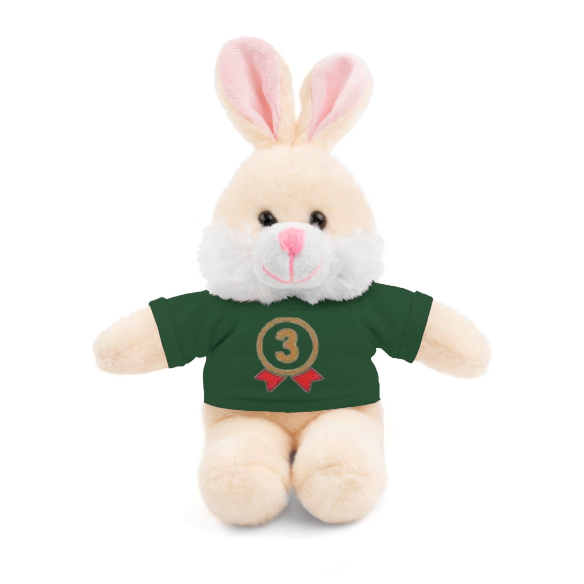 3rd Place Gymnastics Stuffed Animal with Gymnastics T-Shirt