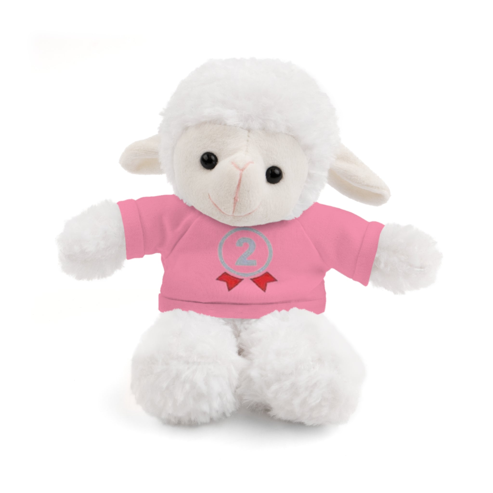 2nd Place Gymnastics Stuffed Animal with Gymnastics T-Shirt
