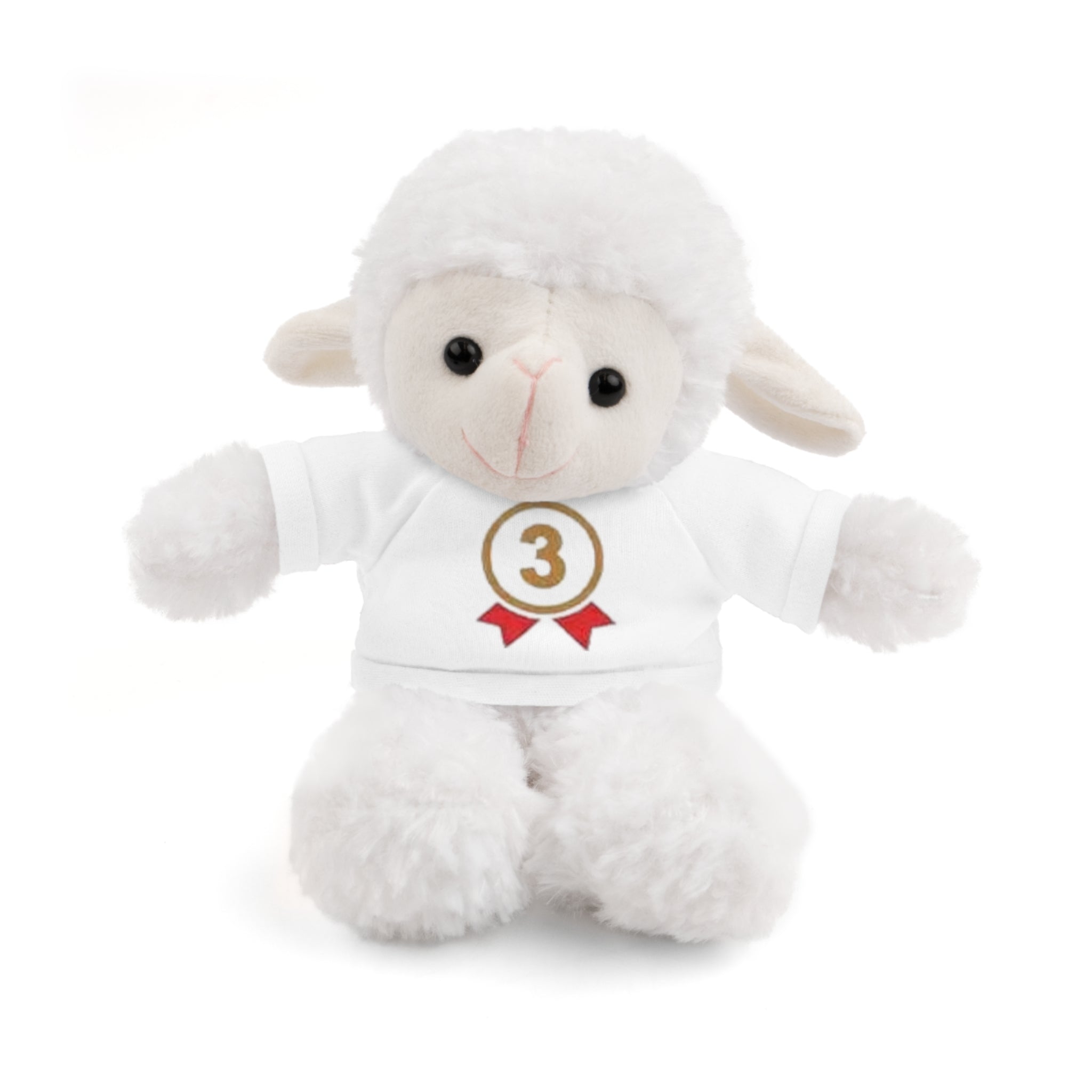 3rd Place Gymnastics Stuffed Animal with Gymnastics T-Shirt