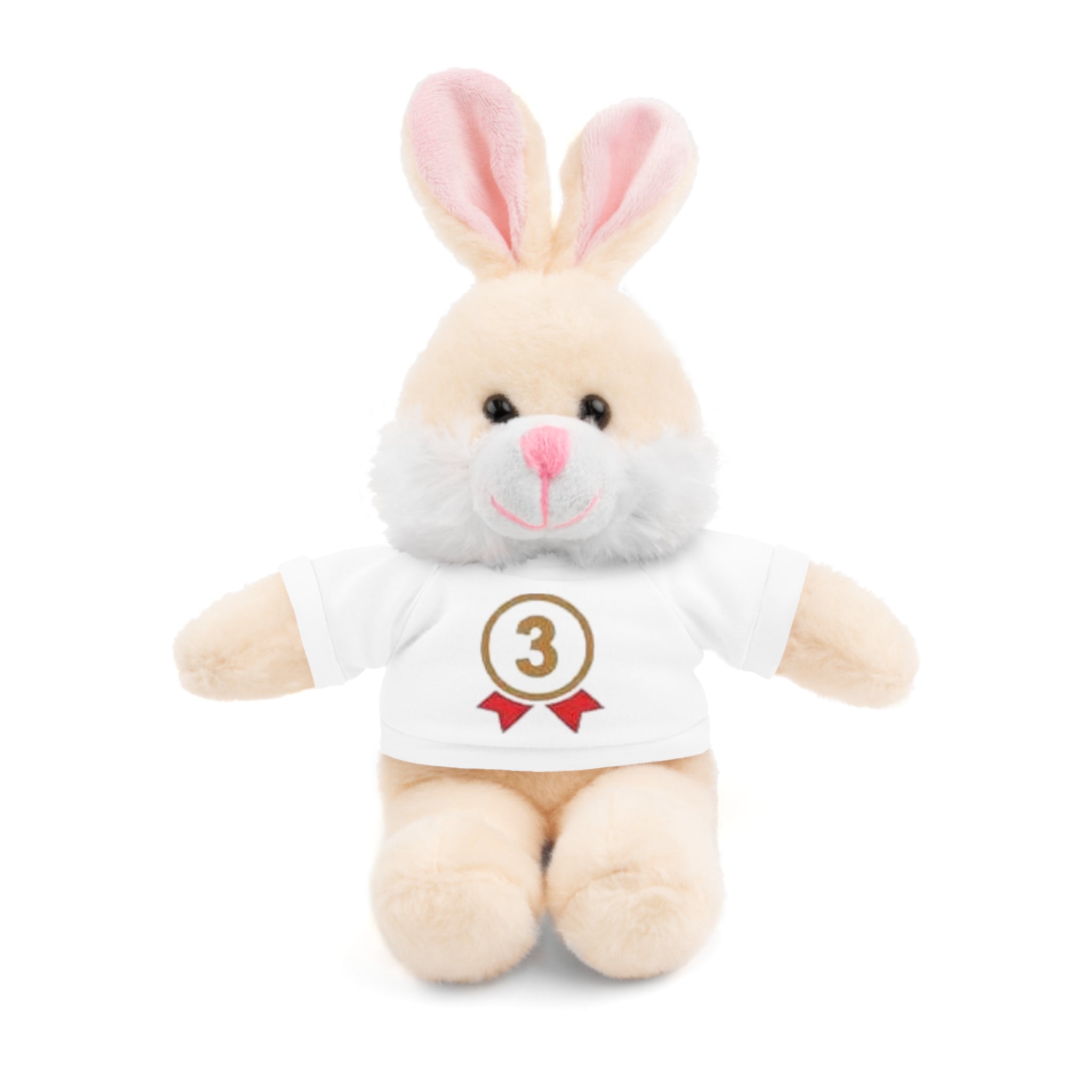 3rd Place Gymnastics Stuffed Animal with Gymnastics T-Shirt